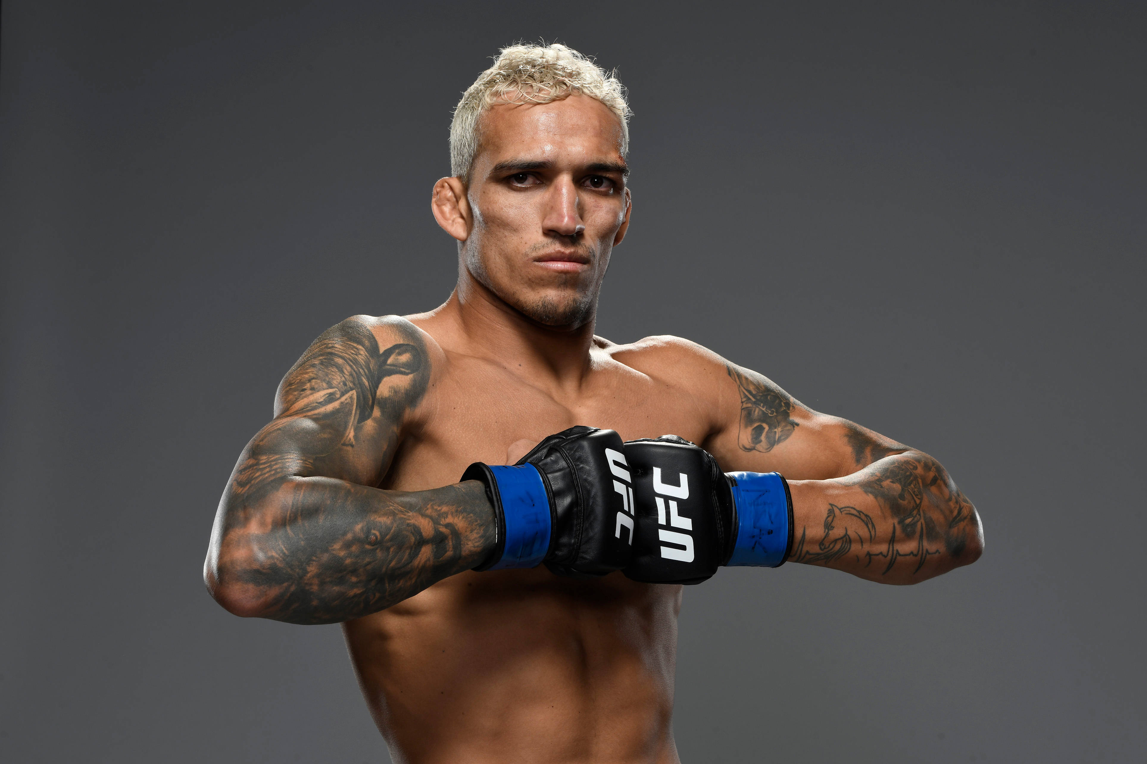 MMA 桌布 壁紙 — 一位肌肉發達、染了淺色頭髮及有紋身的拳手，在灰色攝影棚背景下戴著藍黑相間的UFC手套。