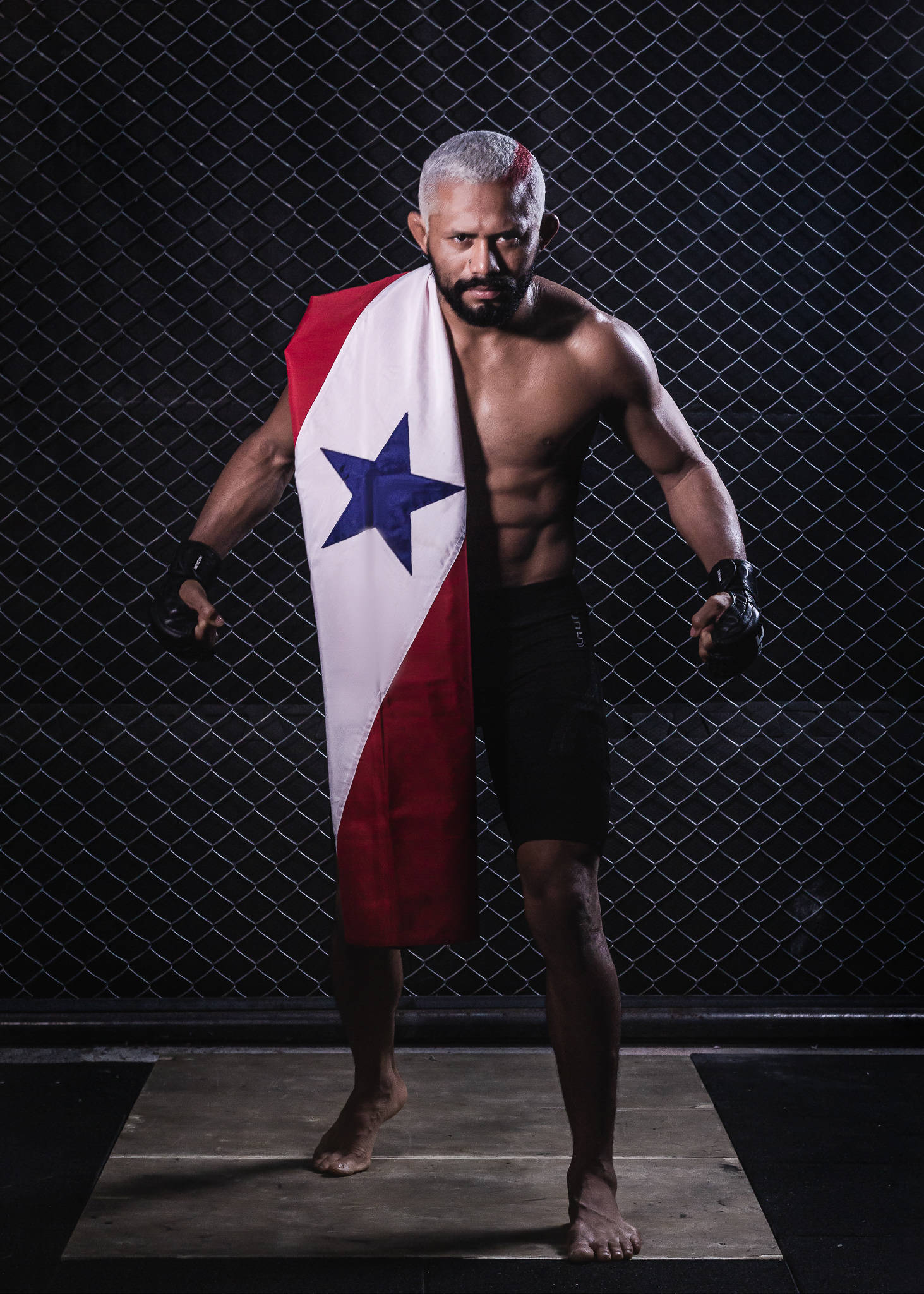 UFC 桌布 壁紙 — 一位肌肉發達、灰髮鬍鬚的戰士赤腳站在籠中，披著巴拿馬國旗，握緊拳頭擺出勝利姿勢。