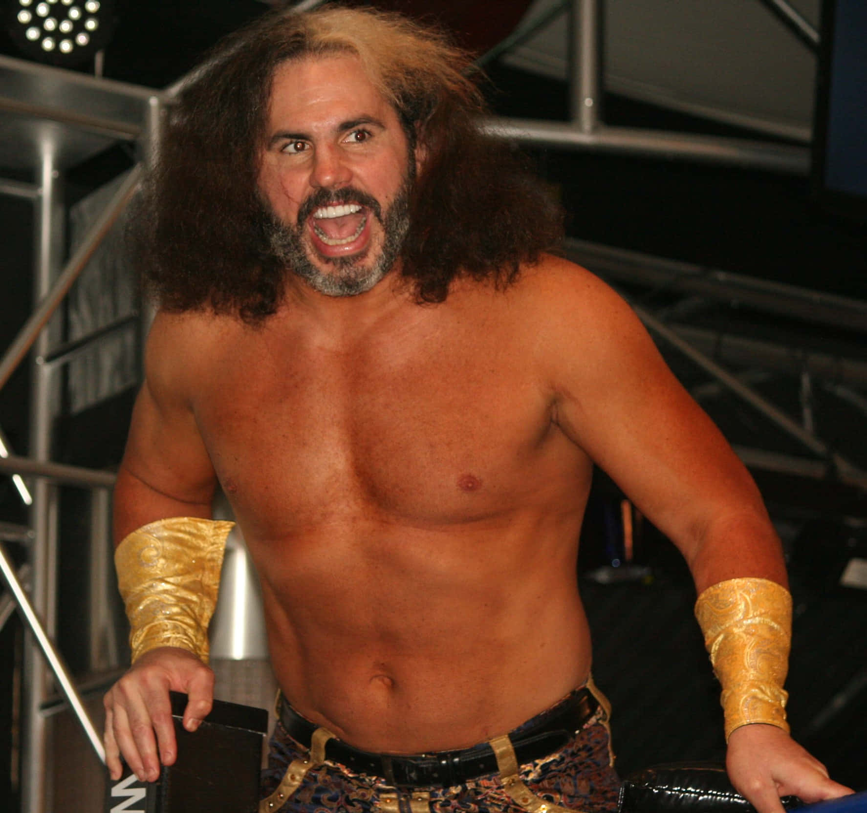 WWE 桌布 壁紙 — 一位肌肉發達、留著長捲髮、戴著金色腕帶的摔角手在入場時猛烈咆哮。