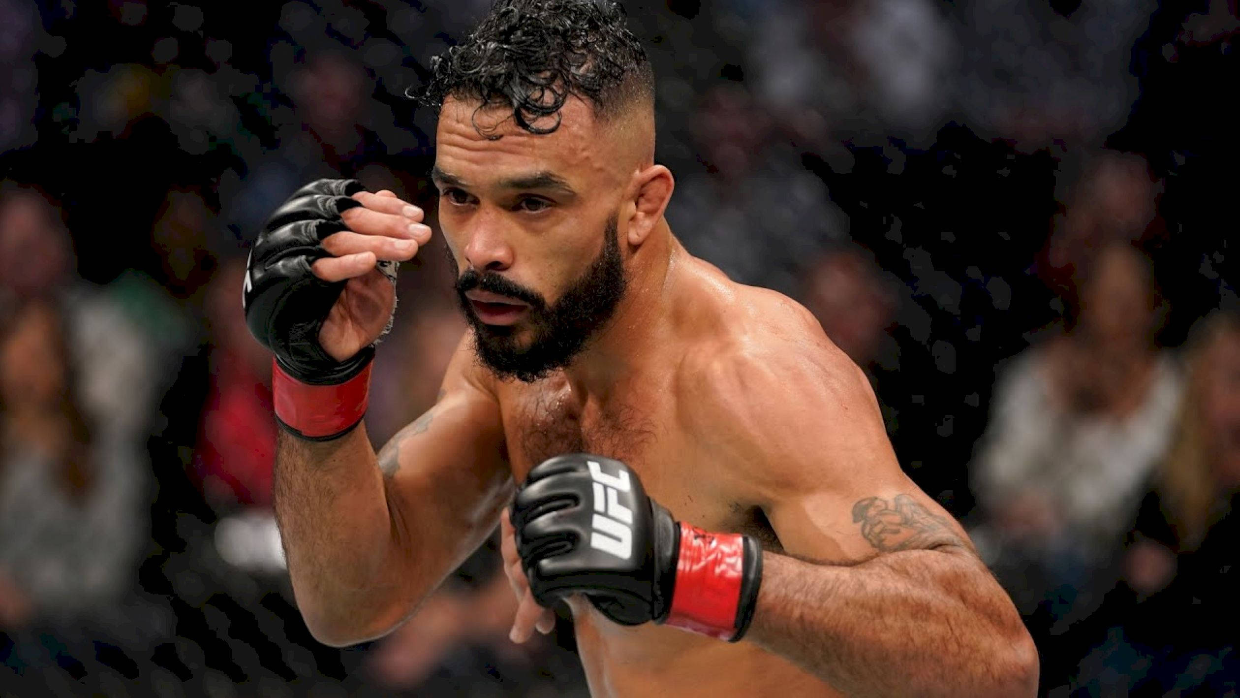UFC 桌布 壁紙 — 一位肌肉發達、留鬍子、有刺青的混合武術選手，在明亮的場館燈光下於UFC八角籠中激烈戰鬥。