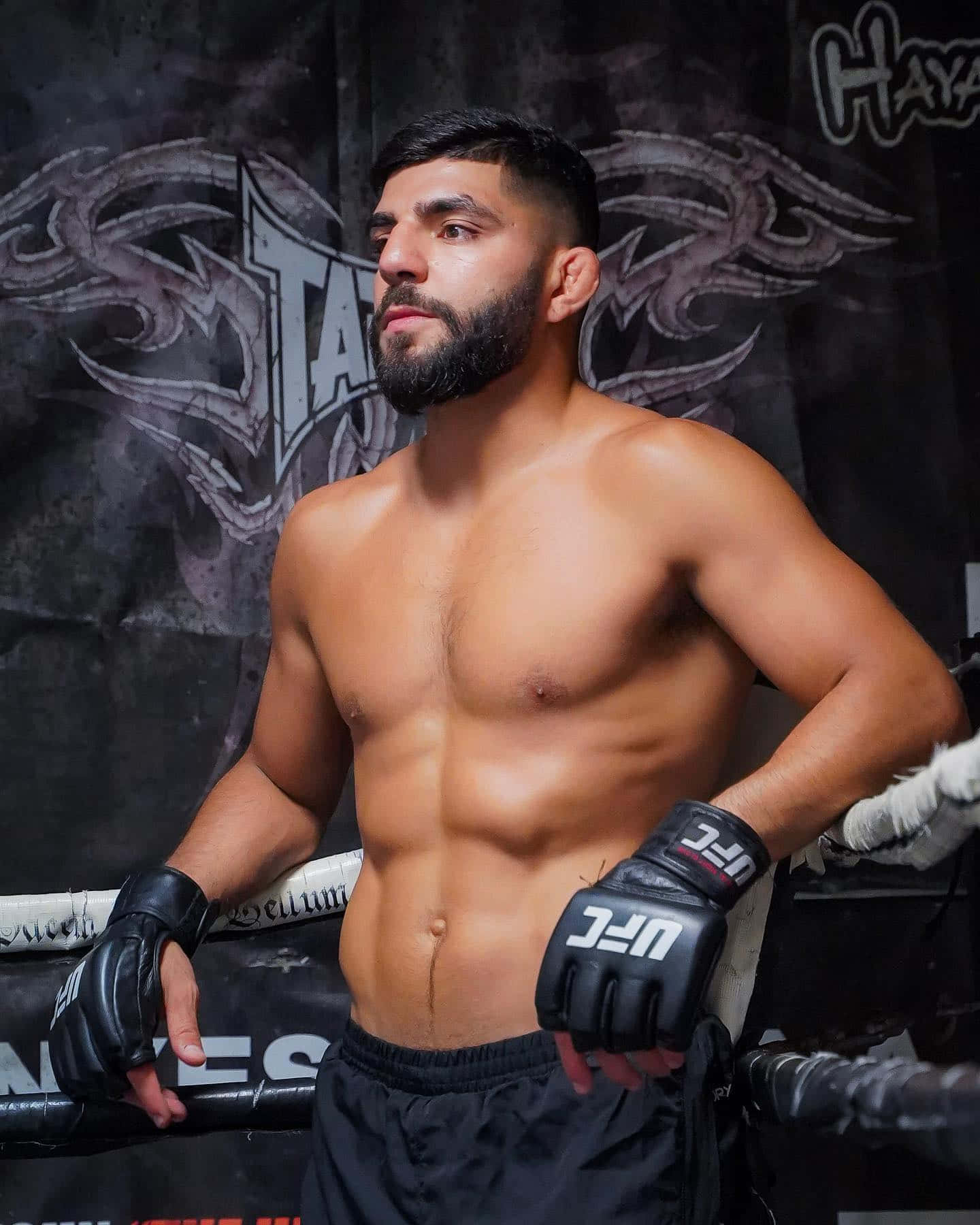 UFC 桌布 壁紙 — 一位肌肉發達、留鬍子的拳手戴著UFC手套，自信地站在有刺青背景的拳擊台上。