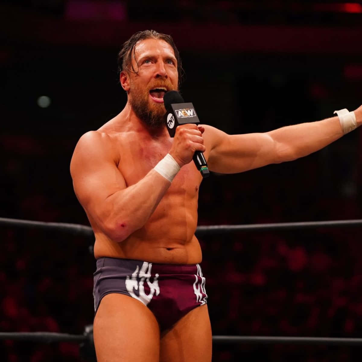 WWE 桌布 壁紙 — 一位肌肉發達、留鬍子的摔角手拿著麥克風，在明亮的場館燈光下戲劇性地指向擂台內。