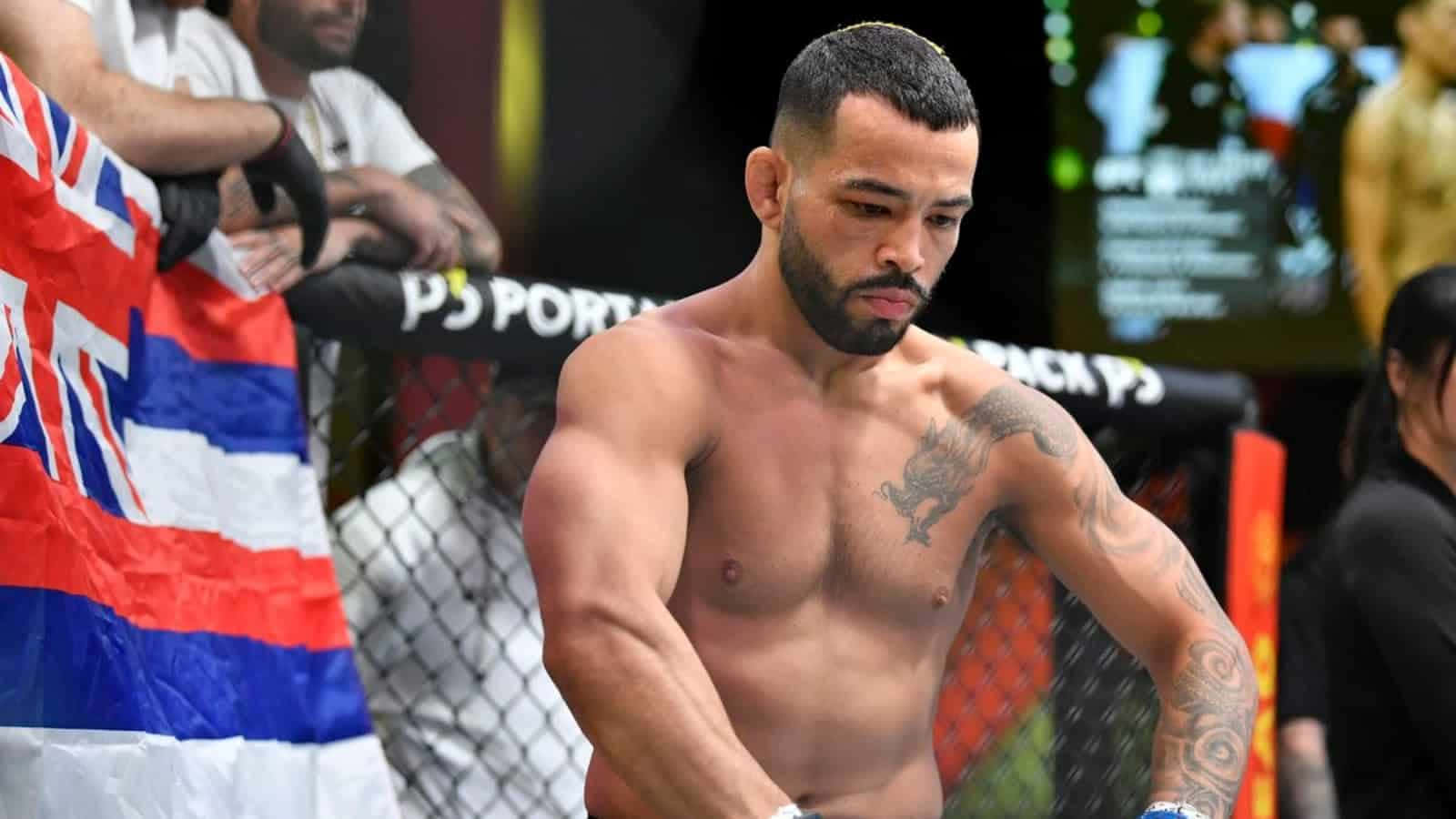 martial arts 桌布 壁紙 — 一位肌肉發達、身上有刺青的拳手在MMA鐵籠內凝視著，身後粉絲揮舞旗幟。