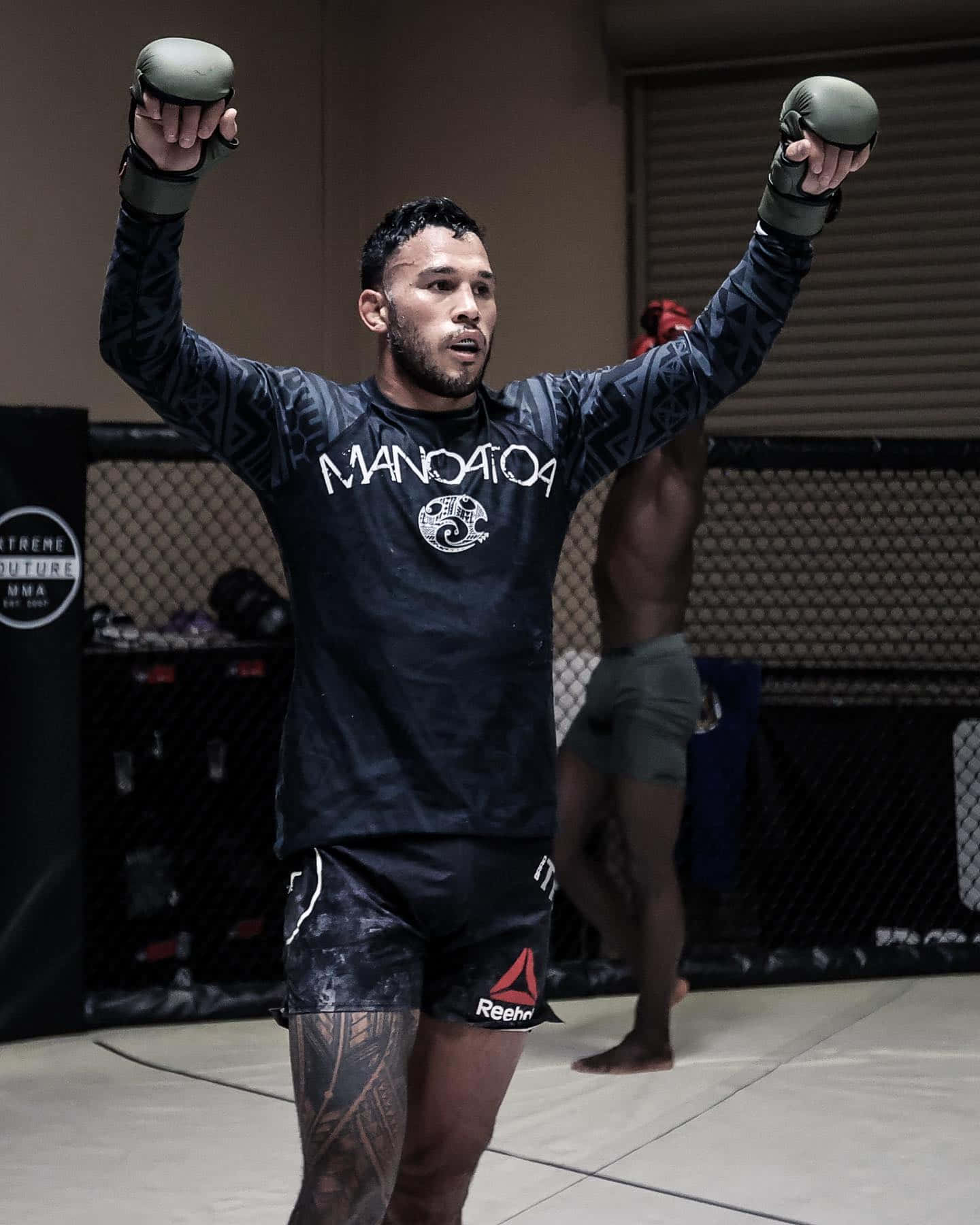 健身房 桌布 壁紙 — 一位肌肉發達的MMA拳手在明亮的燈光下，在籠中勝利地舉起戴著手套的拳頭。