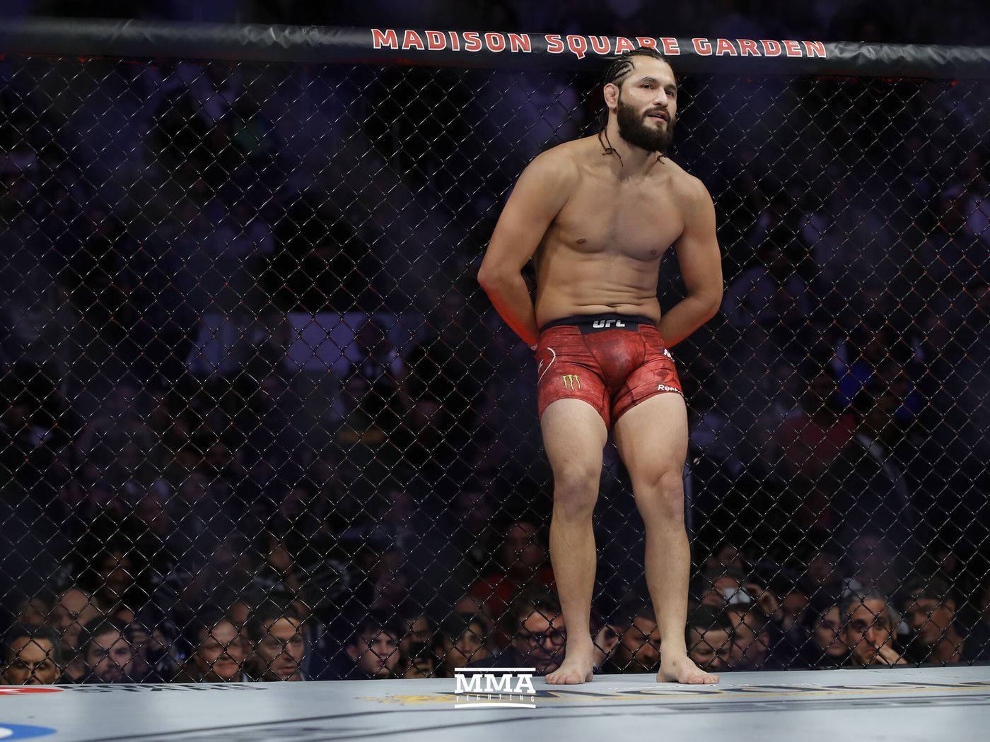 UFC 桌布 壁紙 — 一位肌肉發達的MMA拳手穿著紅色短褲，在明亮的場館燈光下自信地站在麥迪遜廣場花園的籠子裡。