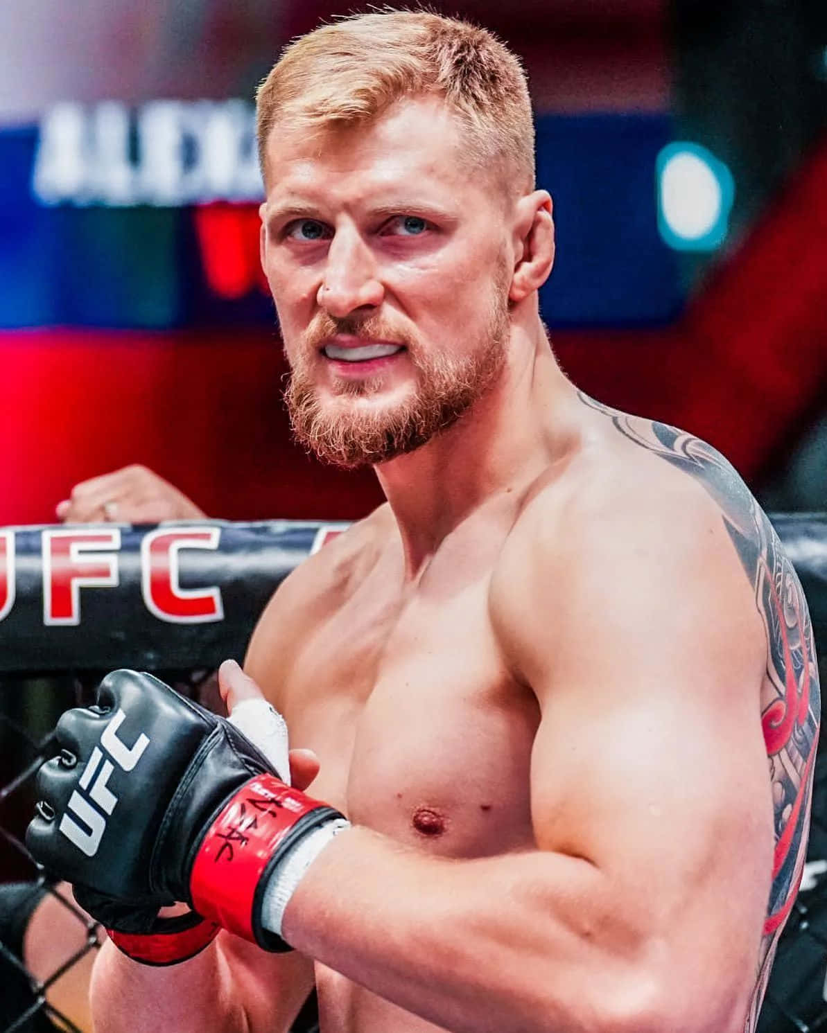 UFC 桌布 壁紙 — 一位肌肉發達的UFC拳手，留鬍鬚，手臂有刺青，戴著黑紅色手套靠在八角籠圍欄上。