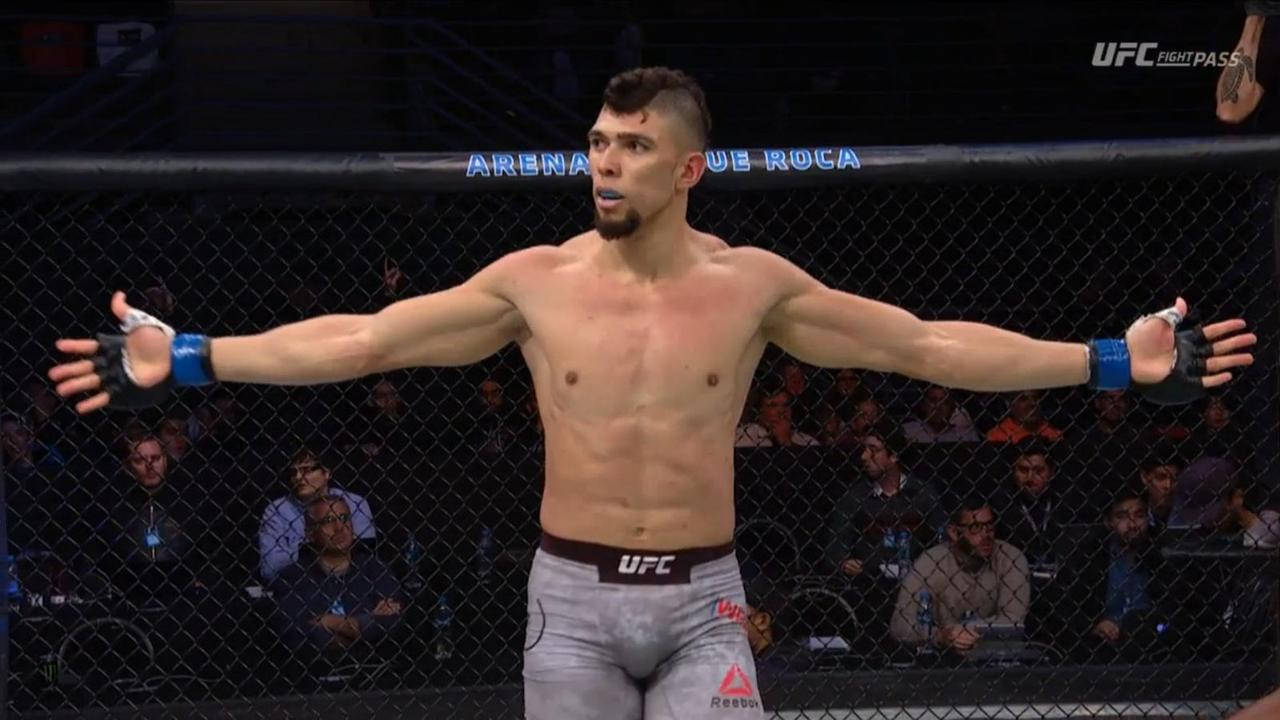 Stretching 桌布 壁紙 — 一位肌肉發達的UFC拳手在八角籠中張開雙臂，勝利地接受觀眾的雷鳴般掌聲。