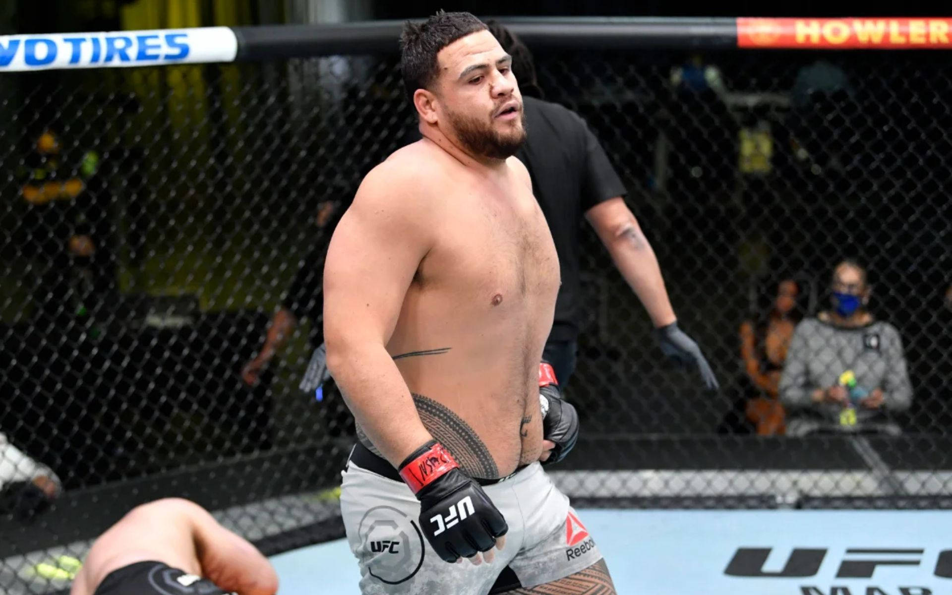 MMA 桌布 壁紙 — 一位肌肉發達的UFC拳手在比賽後站在八角籠內，對手則倒在墊子上。