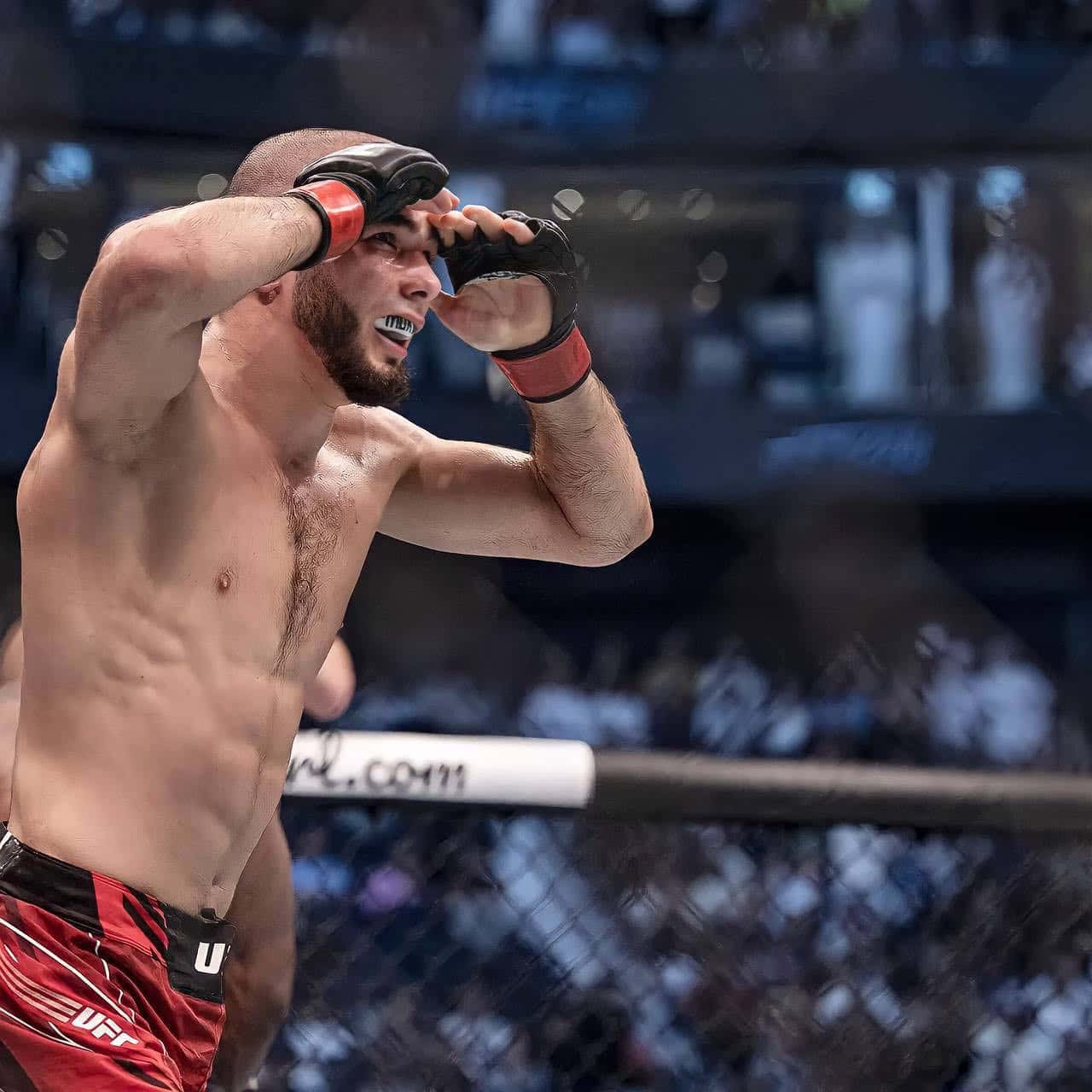 UFC 桌布 壁紙 — 一位肌肉發達的UFC拳手穿著紅色短褲，在八角籠內擦去額頭的汗水，背景是模糊的人群。