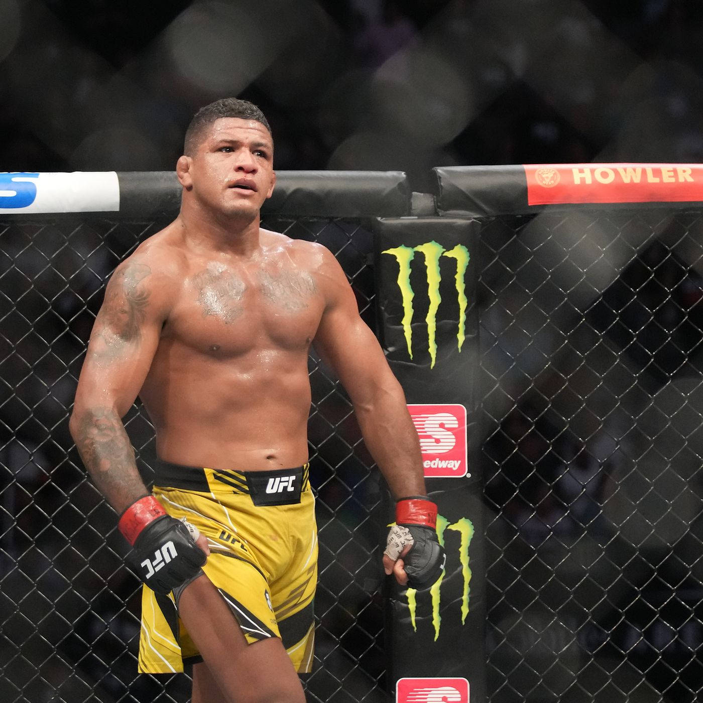 MMA 桌布 壁紙 — 一位肌肉發達的UFC拳手穿著黃色短褲，站在八角籠內，汗水在皮膚上閃閃發光。
