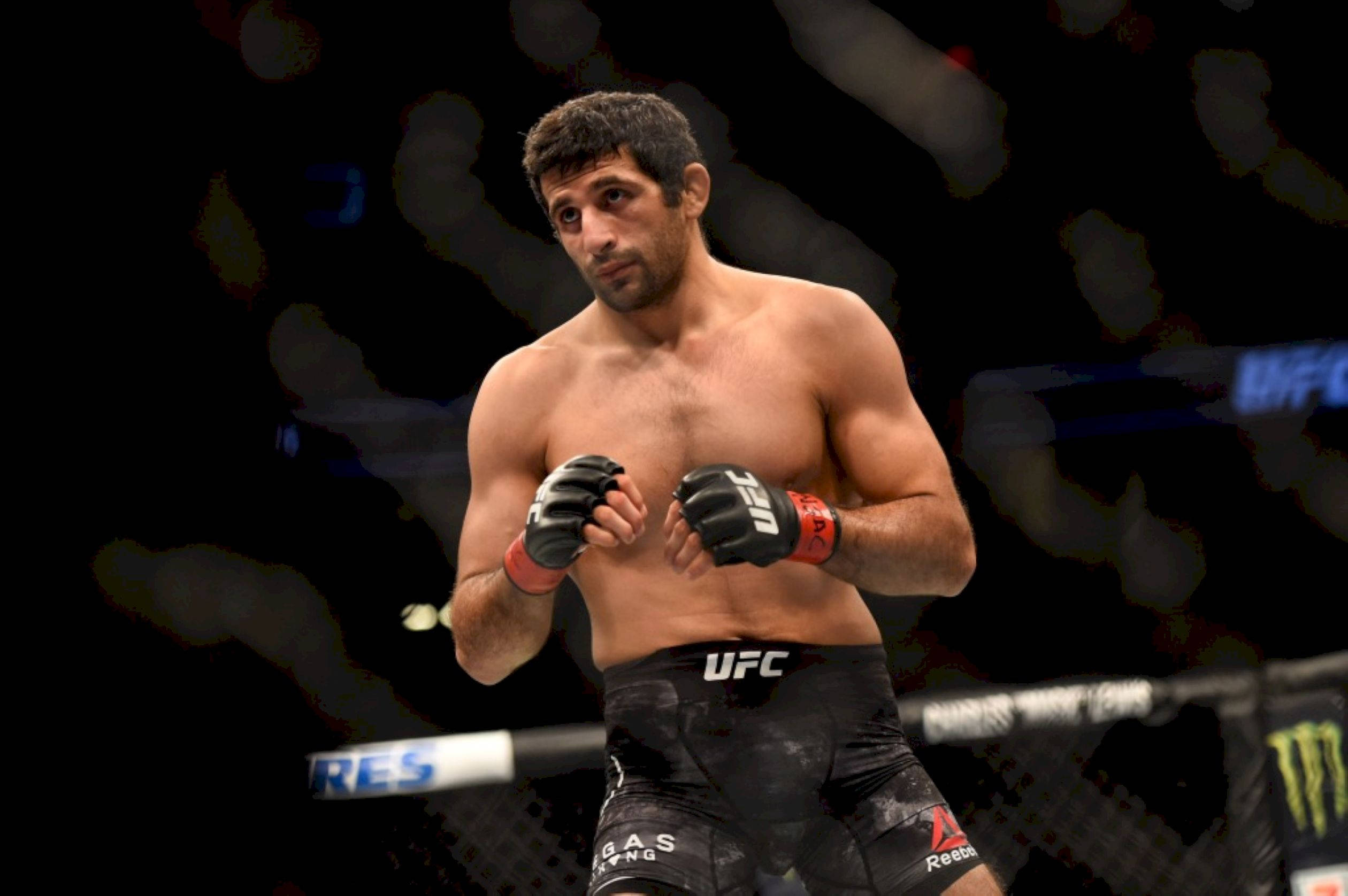 UFC 桌布 壁紙 — 一位肌肉發達的UFC拳手穿著黑色短褲和手套，在明亮的場館燈光下警覺地站在八角籠內。