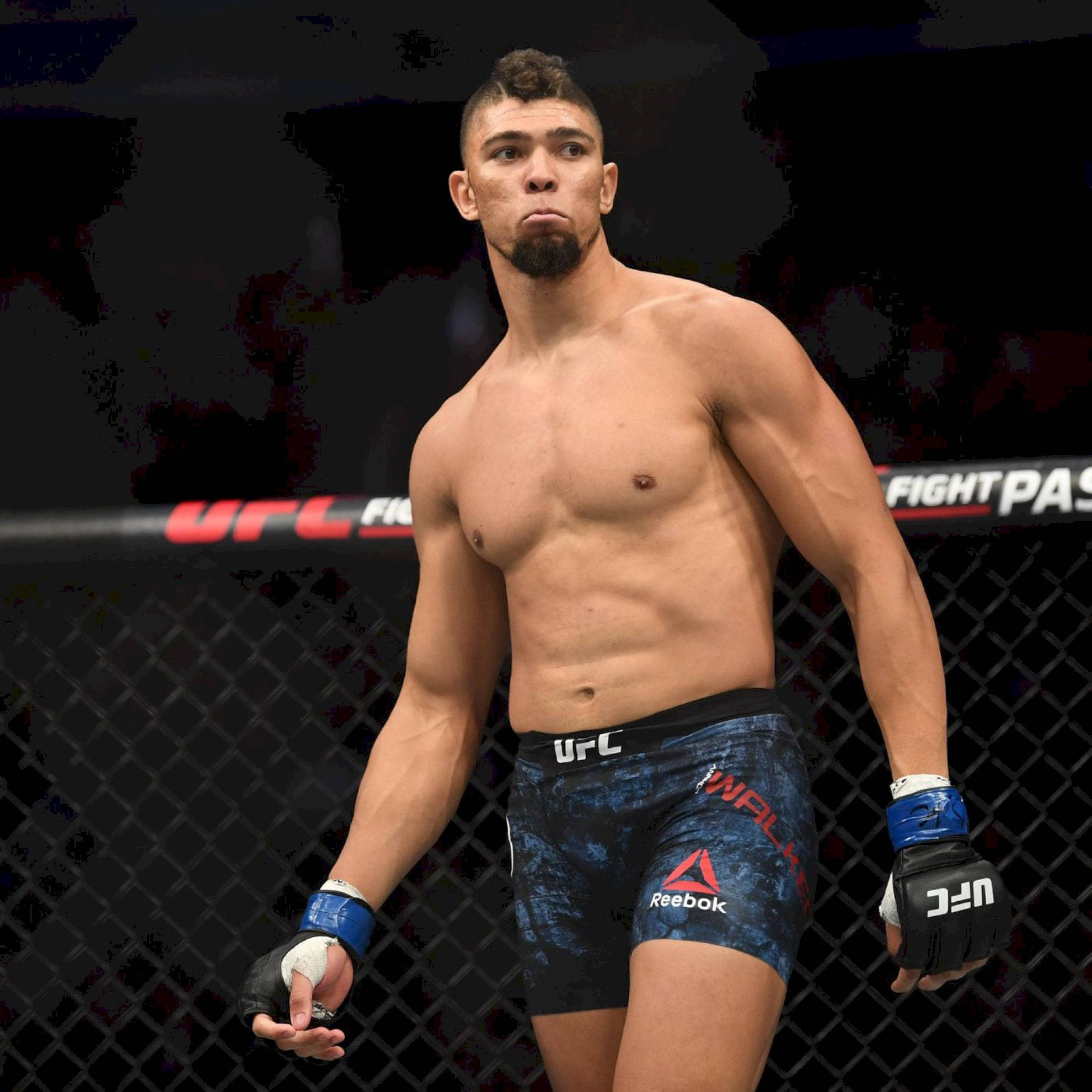 MMA 桌布 壁紙 — 一位肌肉發達的UFC拳手站在八角籠內，穿著藍色短褲和手套，神情專注。