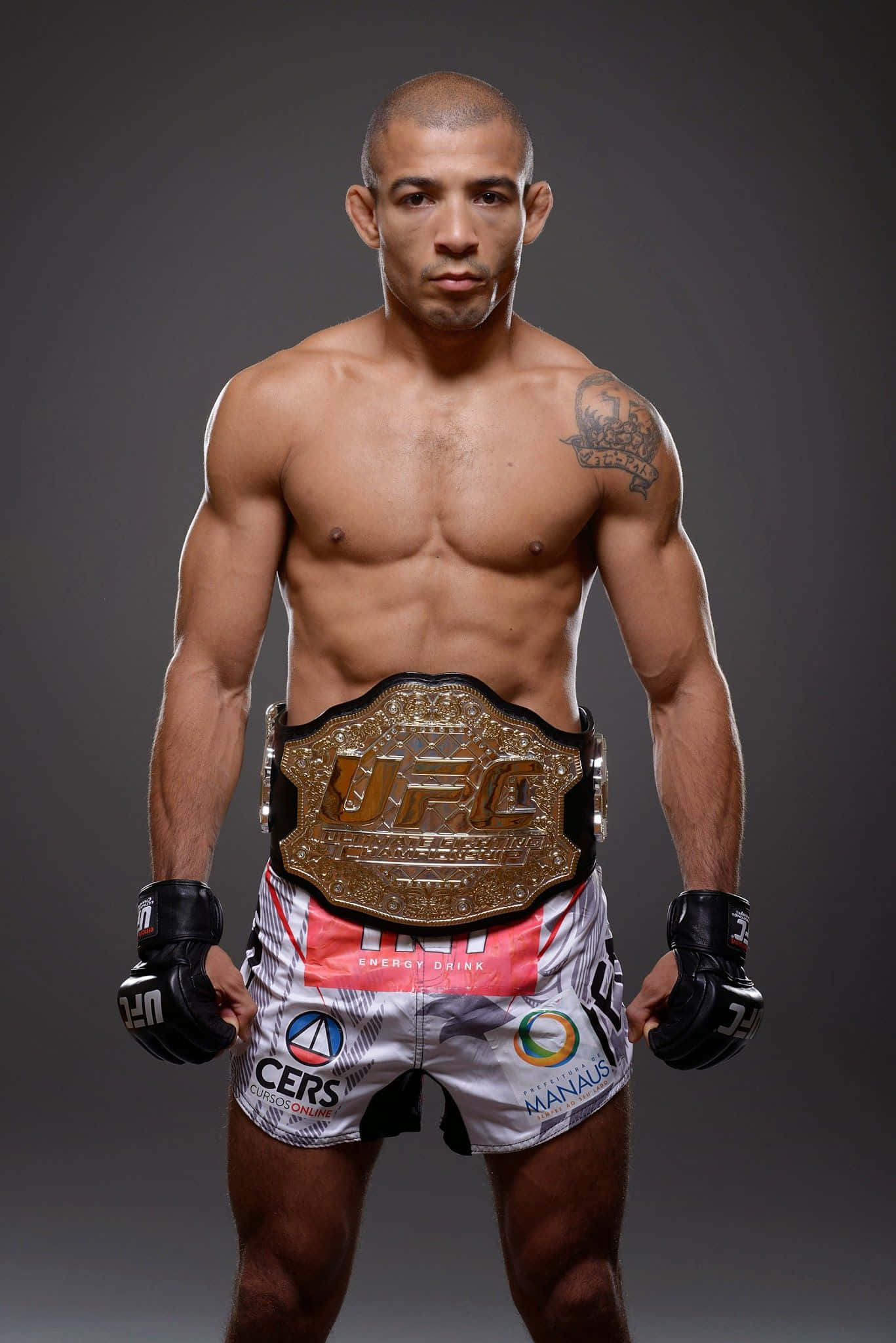 UFC 桌布 壁紙 — 一位肌肉發達的UFC拳手自信地站著，戴著冠軍腰帶和手套，背景是深色攝影棚。