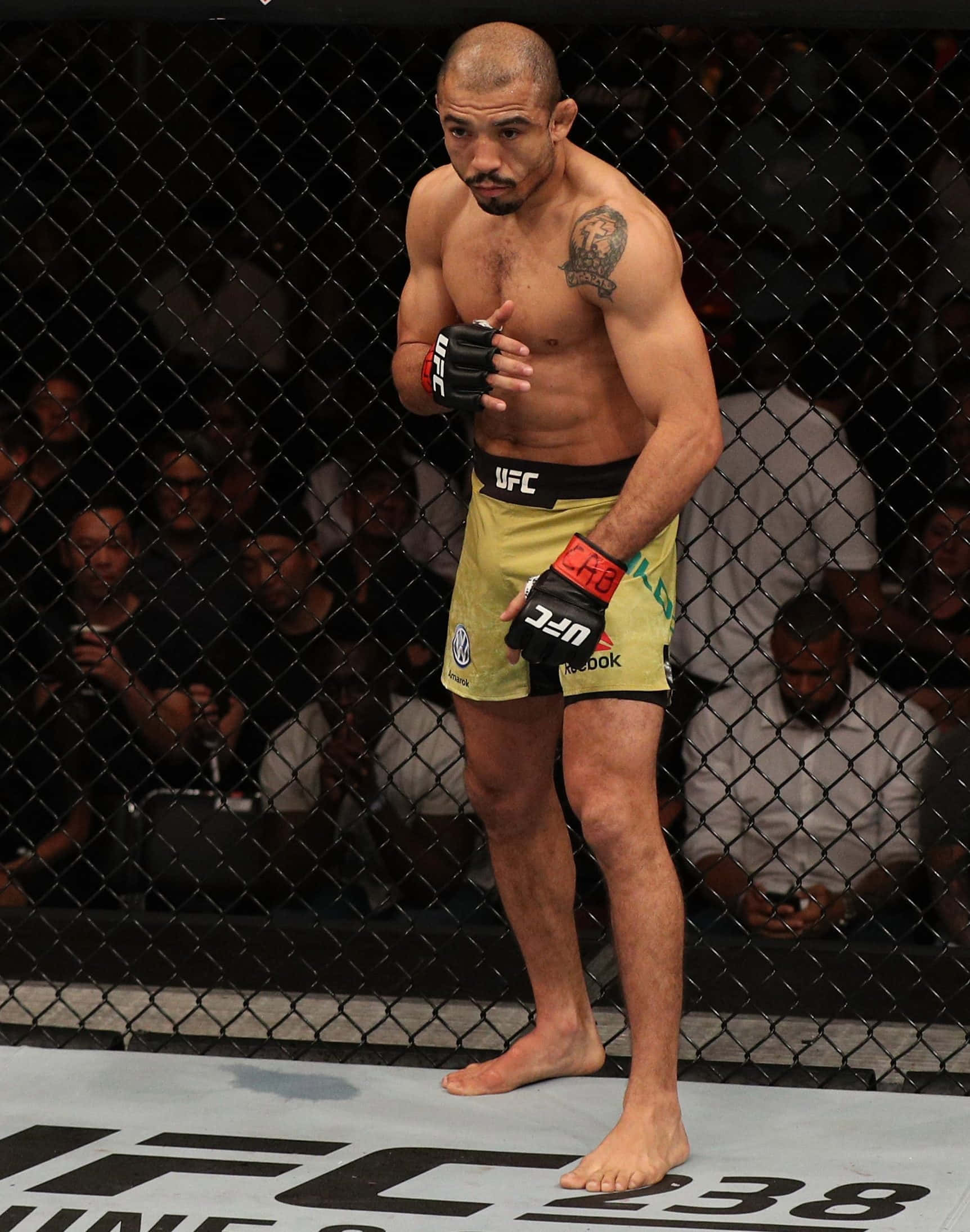 UFC 桌布 壁紙 — 一位肌肉發達的UFC拳手赤腳站在八角籠內，身穿黃色短褲和黑色手套，胸口有明顯的刺青。