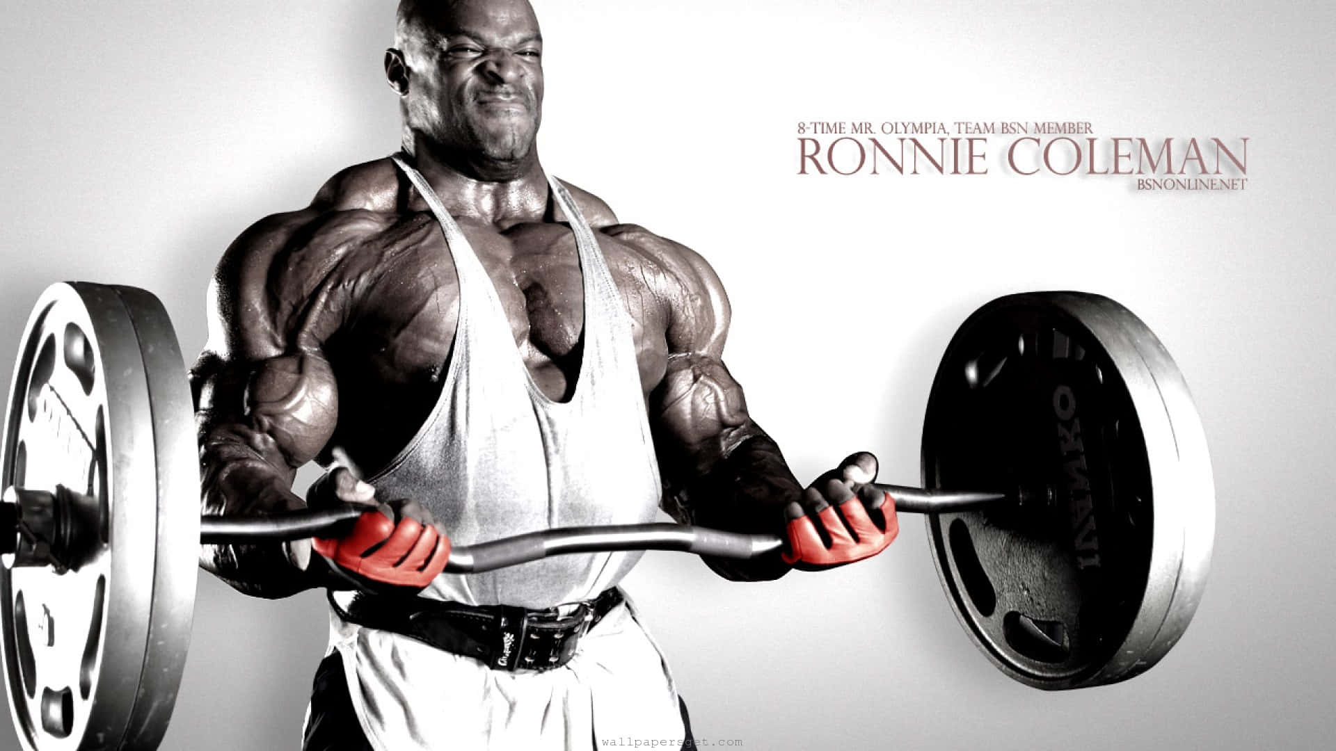 bodybuilding 桌布 壁紙 — 一位肌肉發達的健美運動員在純白背景下用力舉起槓鈴，汗水在他線條分明的體格上閃閃發光。
