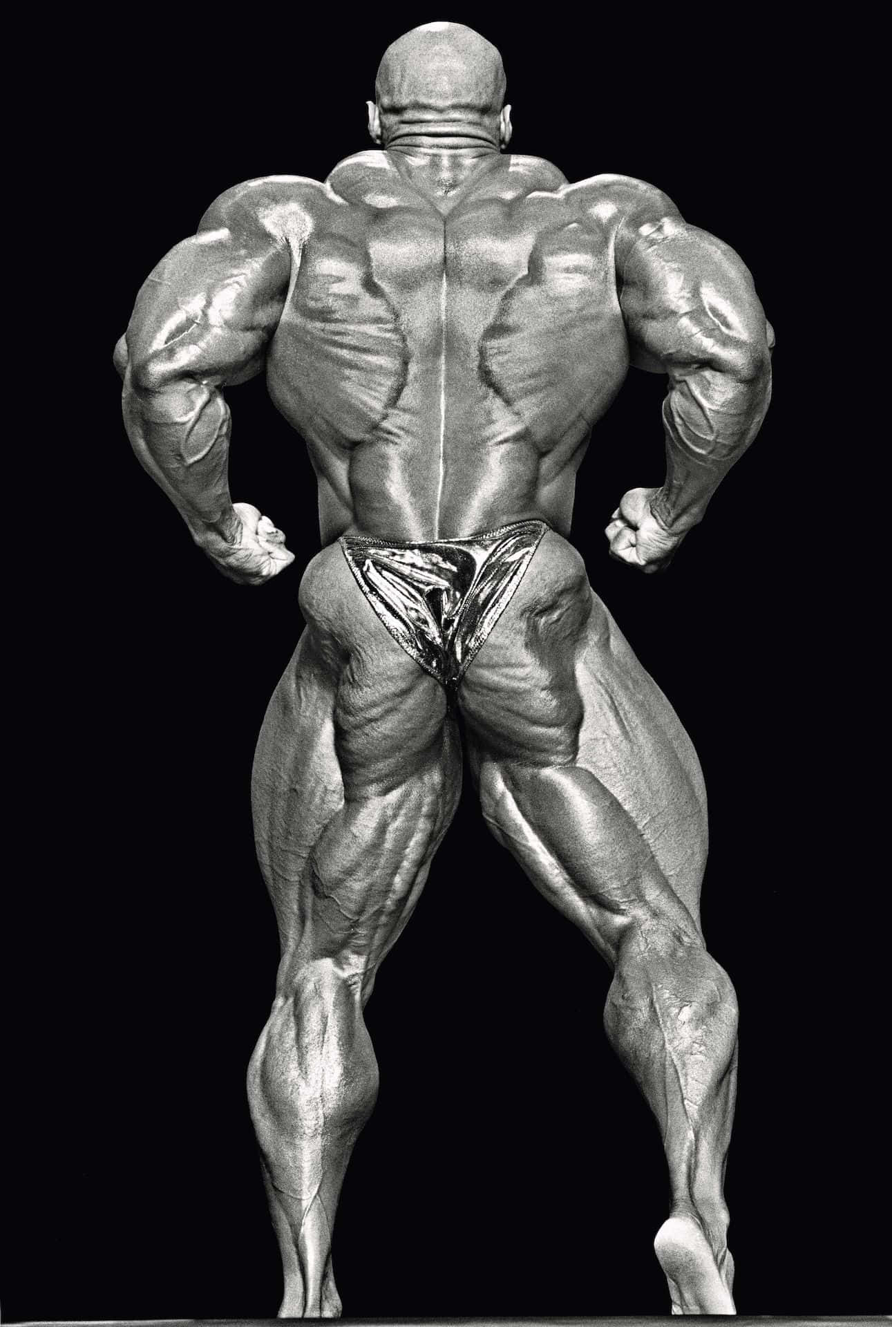 運動 桌布 壁紙 — 一位肌肉發達的健美運動員背對鏡頭站立，在黑色背景下展示清晰的肌肉線條。