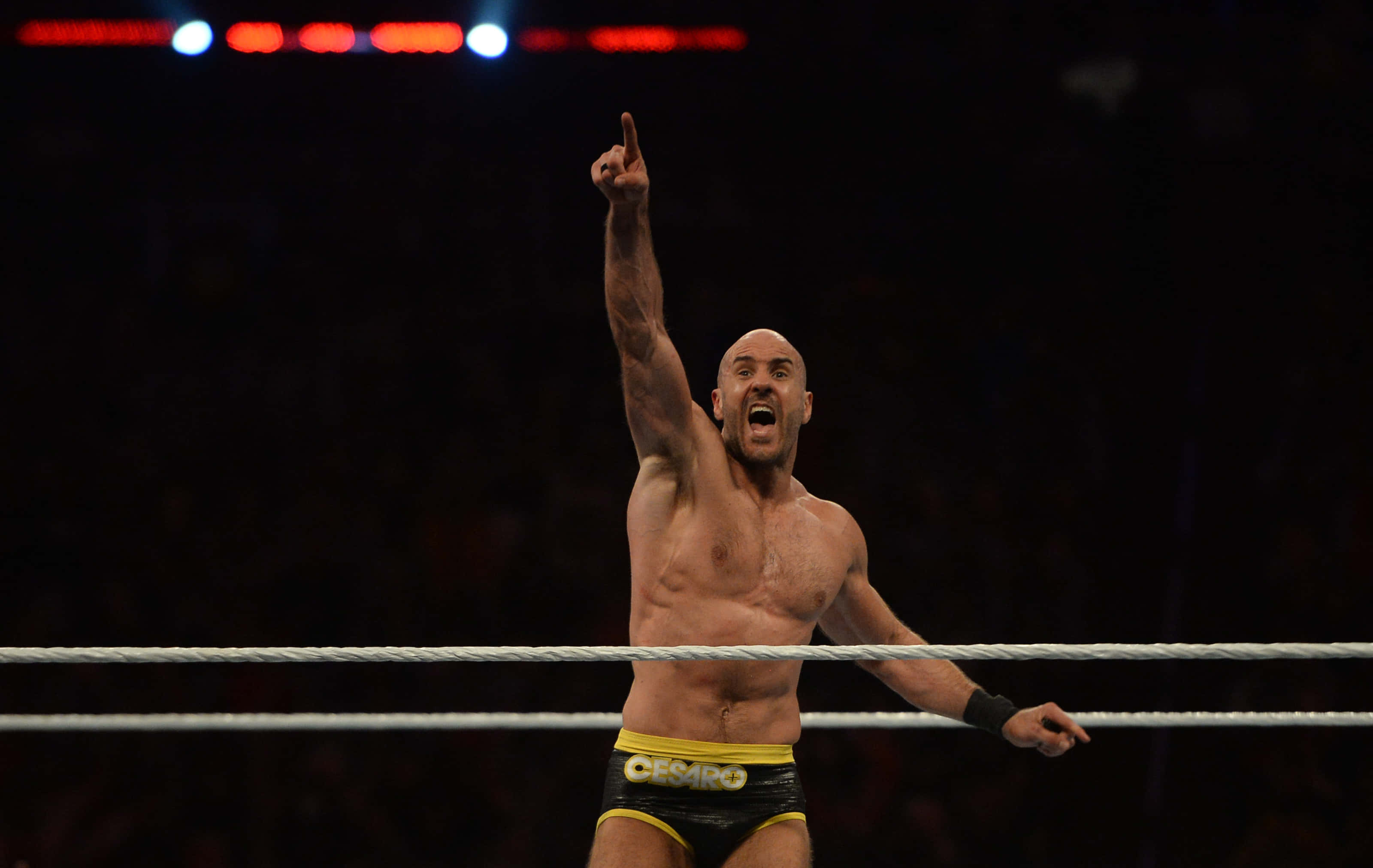seth rollins 桌布 壁紙 — 一位肌肉發達的光頭摔角手，身穿黑色和黃色短褲，在明亮的場館燈光下，於擂台上高舉一隻手臂，發出勝利的吶喊。