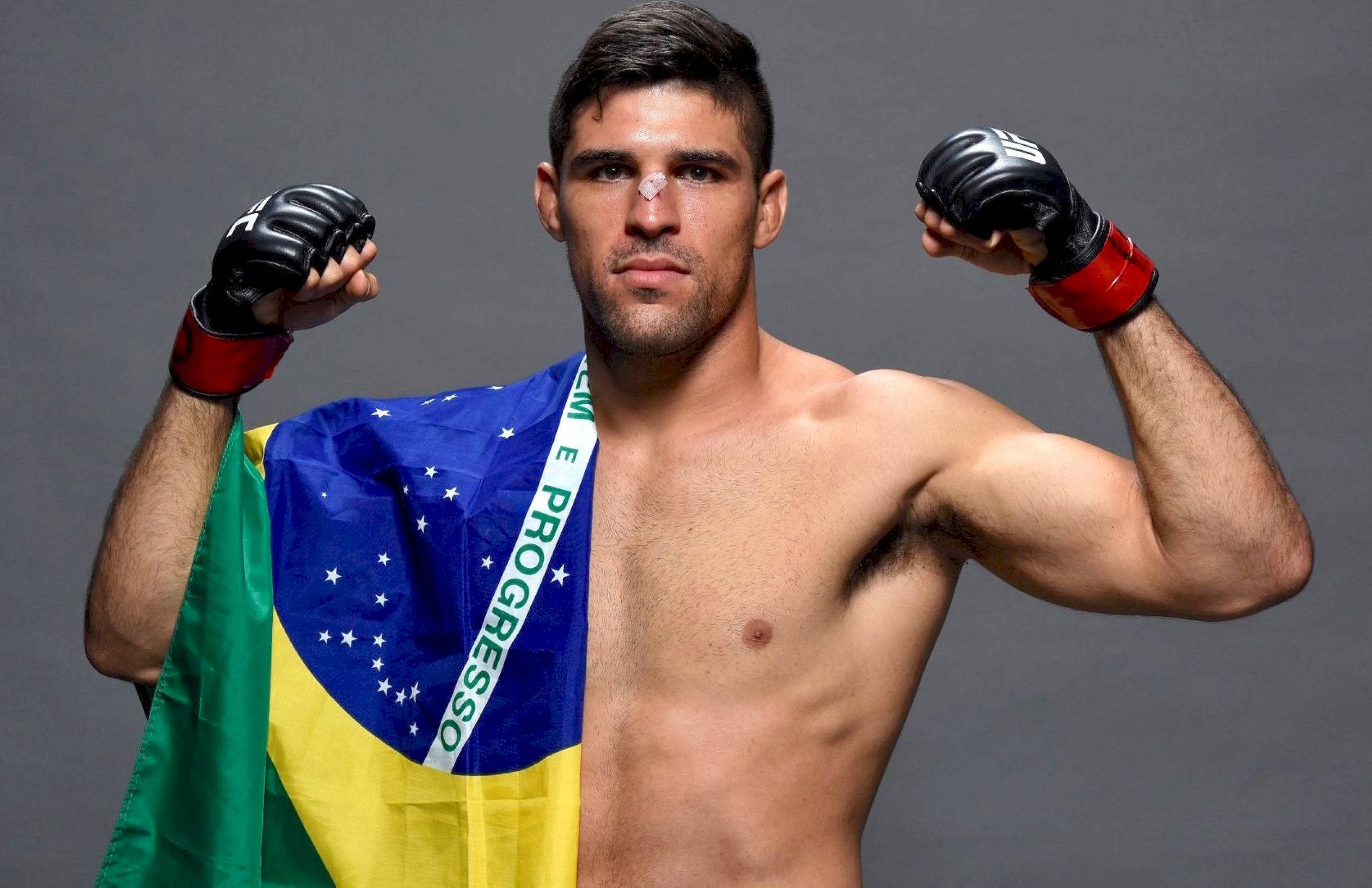 UFC 桌布 壁紙 — 一位肌肉發達的巴西戰士在灰色攝影棚背景下，自豪地展示肌肉，國旗披在肩上。