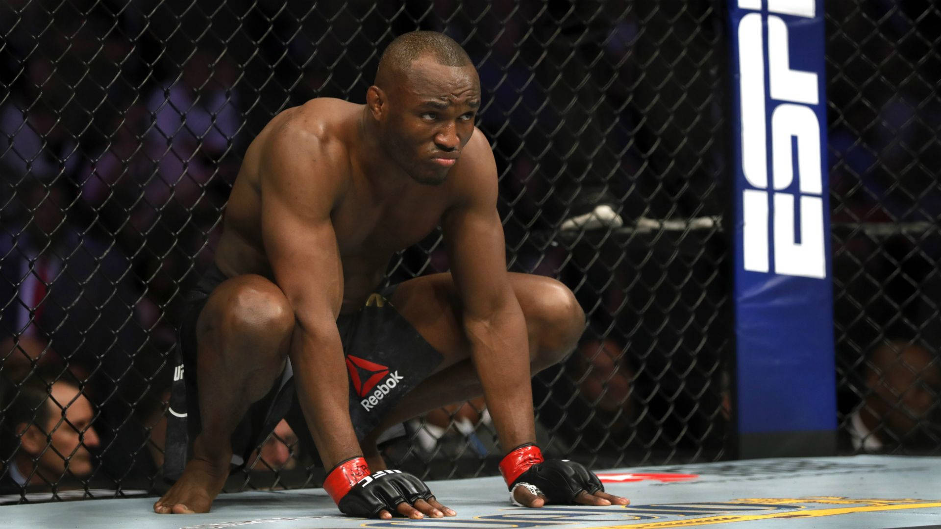 UFC 桌布 壁紙 — 一位肌肉發達的戰士在UFC八角籠內跪下，帶著強烈的專注和決心。
