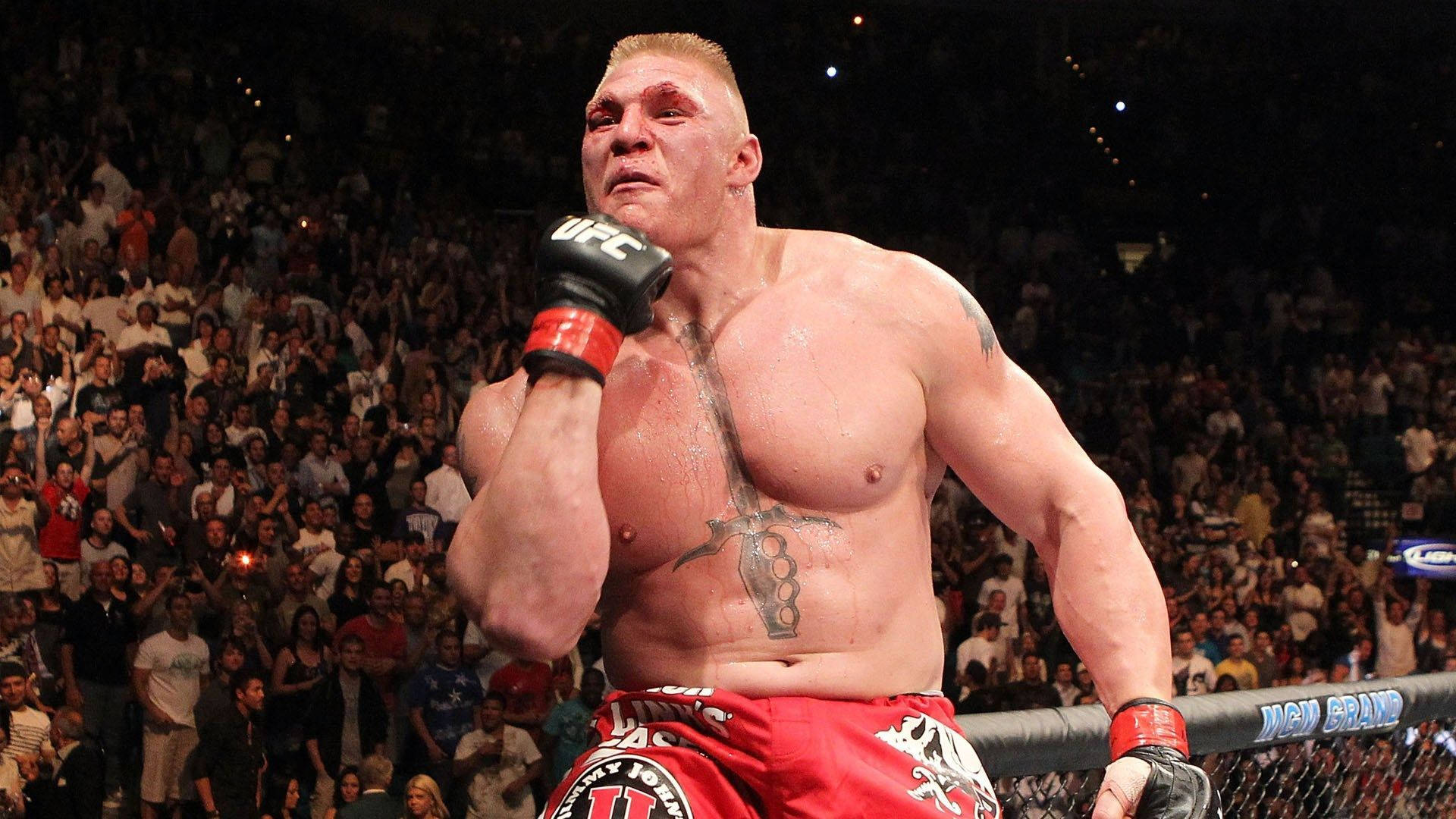 UFC 桌布 壁紙 — 一位肌肉發達的戰士穿著紅色短褲，在UFC八角籠中勝利地站立，背後有歡呼的人群。