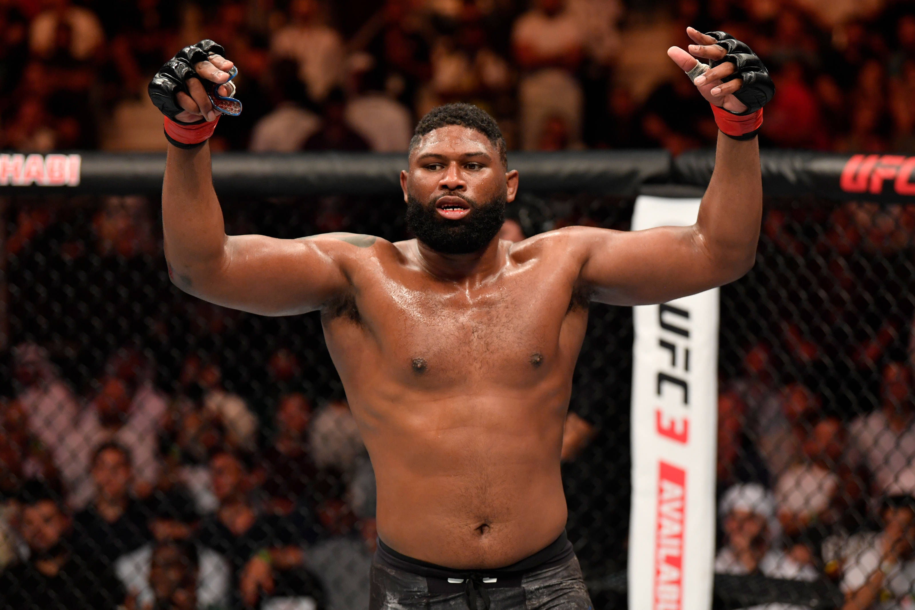 UFC 桌布 壁紙 — 一位肌肉發達的拳手在UFC八角籠中勝利地高舉拳頭，籠後有歡呼的人群。