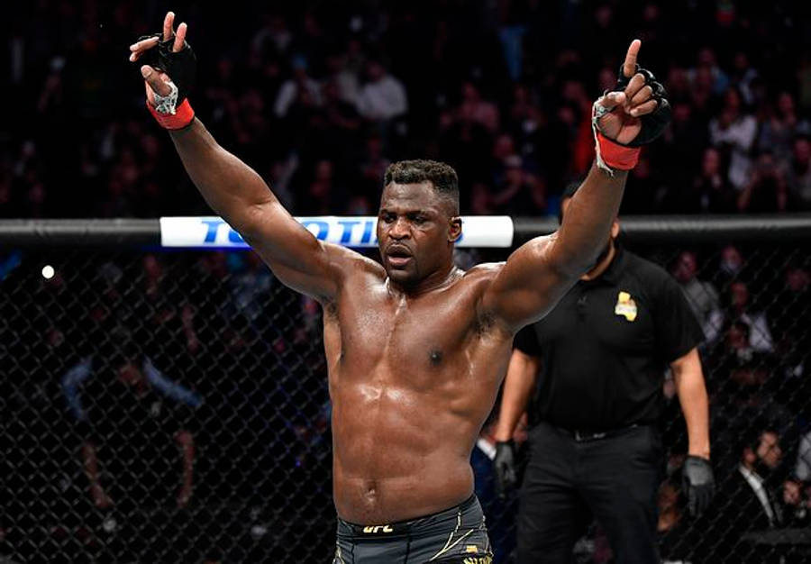 UFC 桌布 壁紙 — 一位肌肉發達的拳手在UFC八角籠中高舉雙臂慶祝勝利，背景有觀眾。