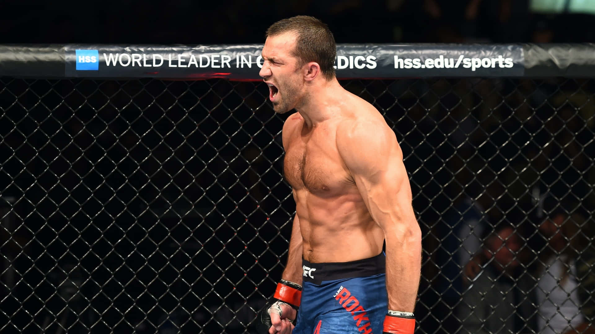 MMA 桌布 壁紙 — 一位肌肉發達的拳手在燈光昏暗的MMA八角籠內，背景有鐵鏈圍欄和贊助商橫幅，發出勝利的怒吼。