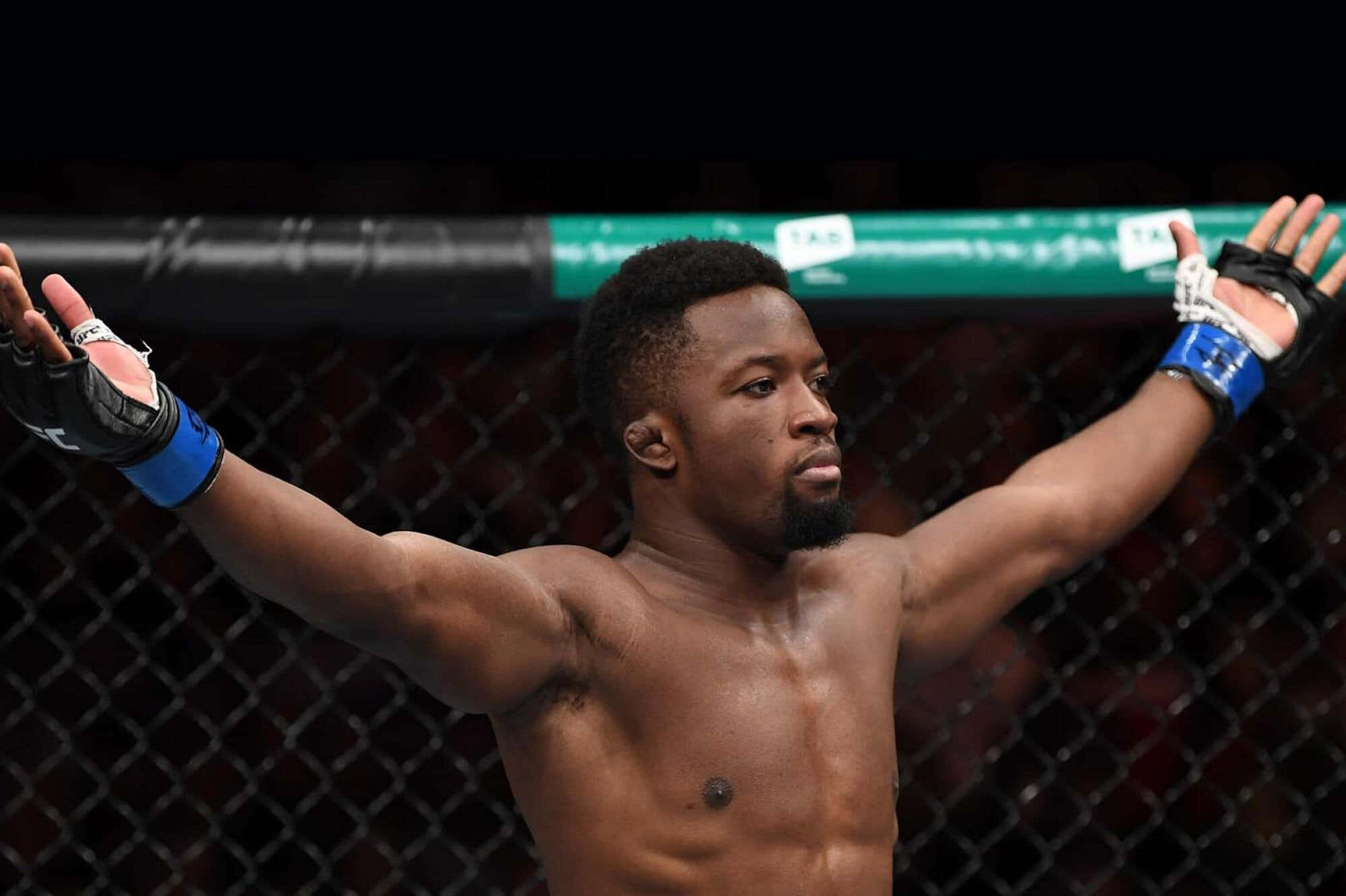 UFC 桌布 壁紙 — 一位肌肉發達的拳手在籠中高舉雙臂，以強烈的專注慶祝勝利。