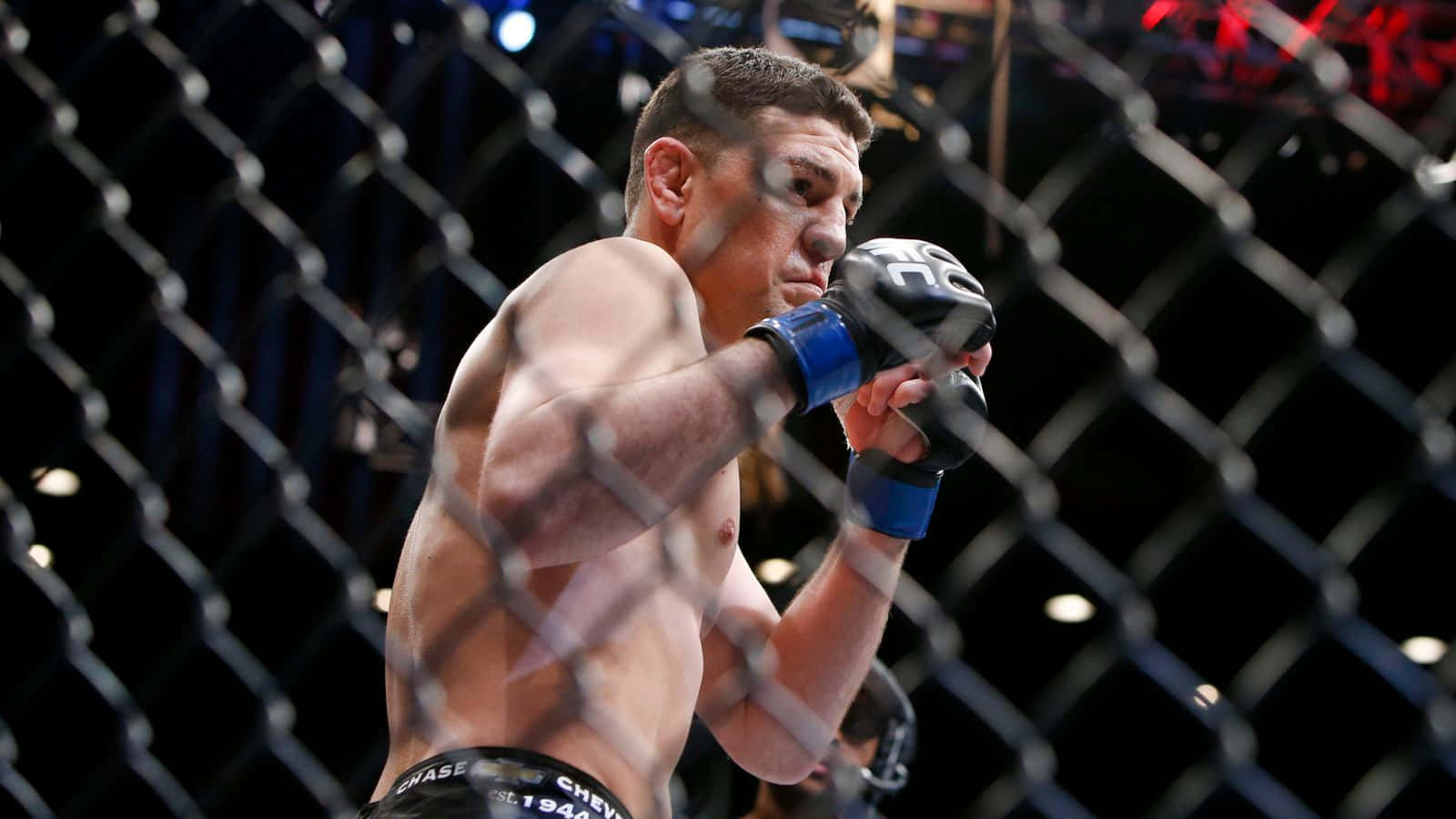 UFC 桌布 壁紙 — 一位肌肉發達的拳手戴著藍色手套，在昏暗的八角籠內警覺地站立，準備戰鬥。