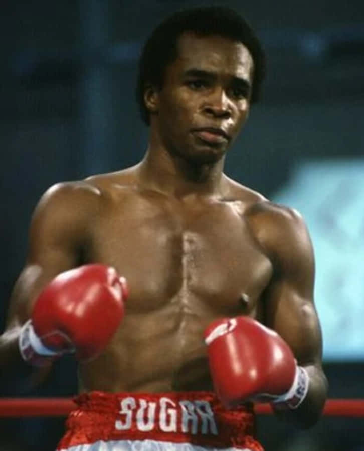 Boxing 桌布 壁紙 — 一位肌肉發達的拳擊手，戴著紅色手套和穿著印有「SUGAR」的紅色短褲，在明亮的燈光下專注地站在擂台上。