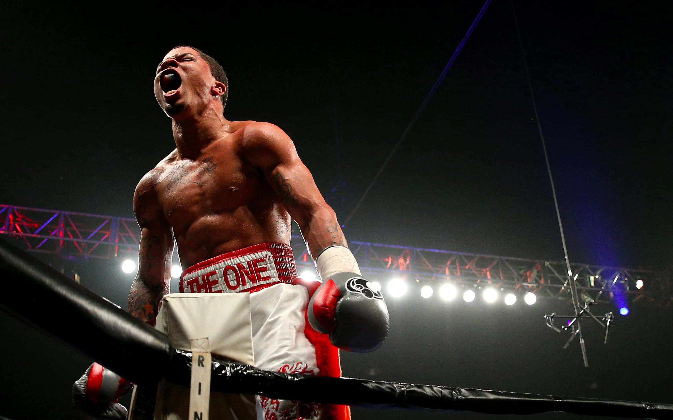 Boxing 桌布 壁紙 — 一位肌肉發達的拳擊手在燈光明亮的擂台上，在體育館燈光和繩索的襯托下，發出勝利的怒吼。