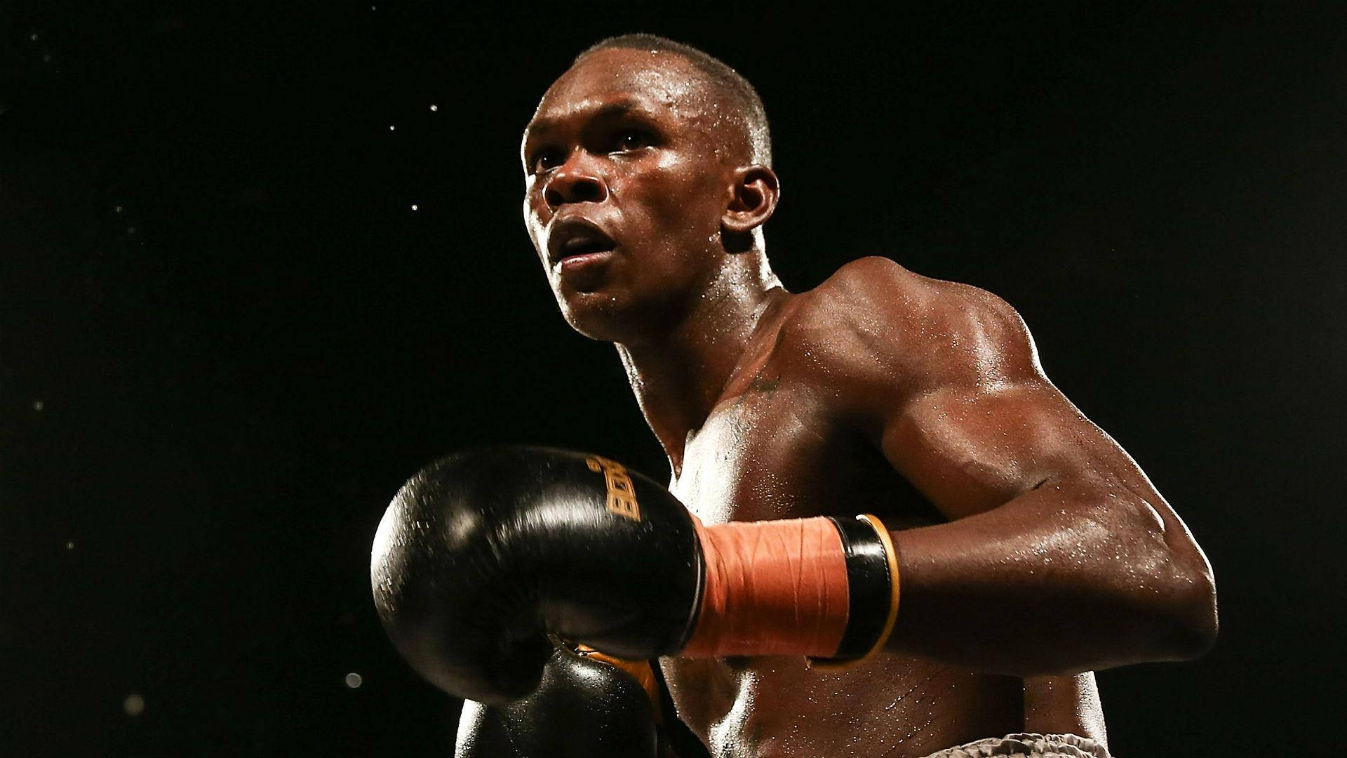 Adesanya 桌布 壁紙 — 一位肌肉發達的拳擊手戴著黑色手套和橙色護腕，在黑暗背景下凝視，汗水在皮膚上閃閃發光。