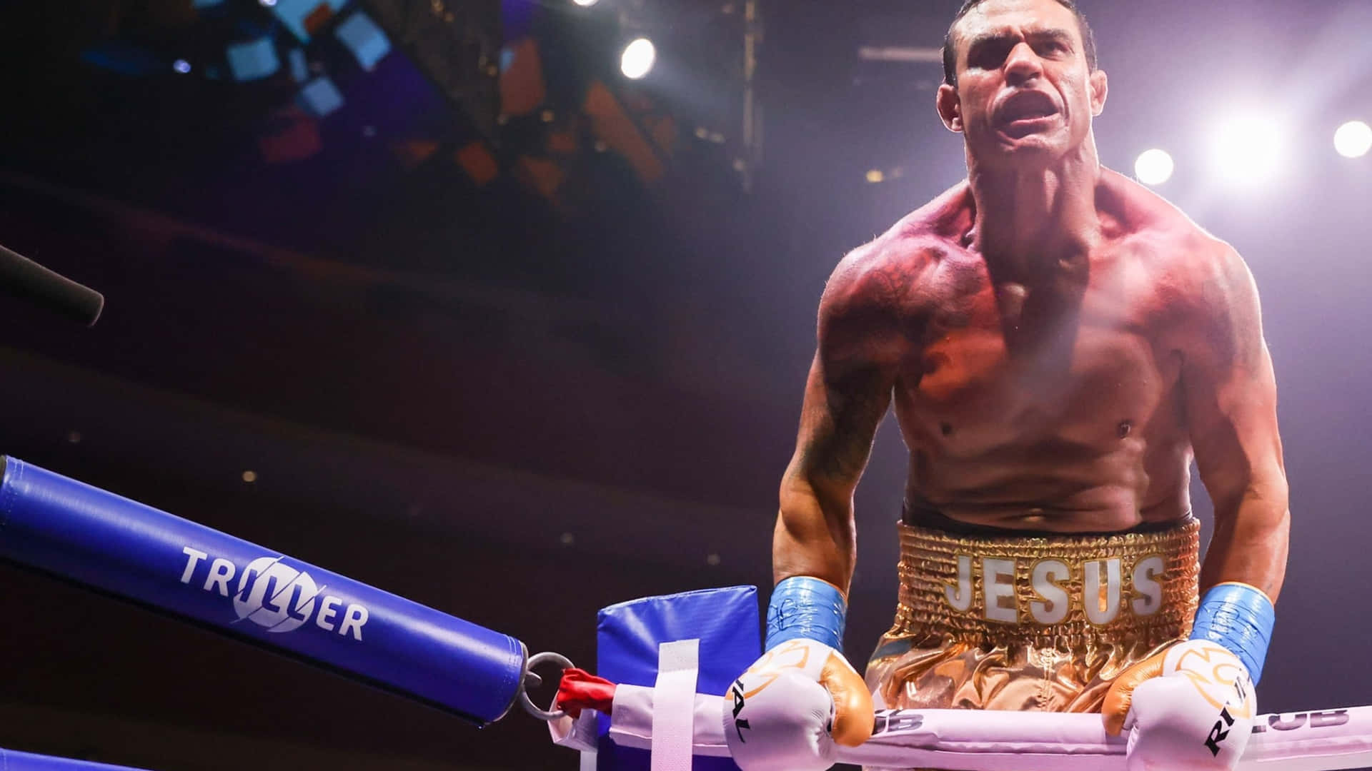 Boxing 桌布 壁紙 — 一位肌肉發達的拳擊手穿著金色短褲，在明亮的競技場燈光下靠在擂台繩索上，表情兇猛。