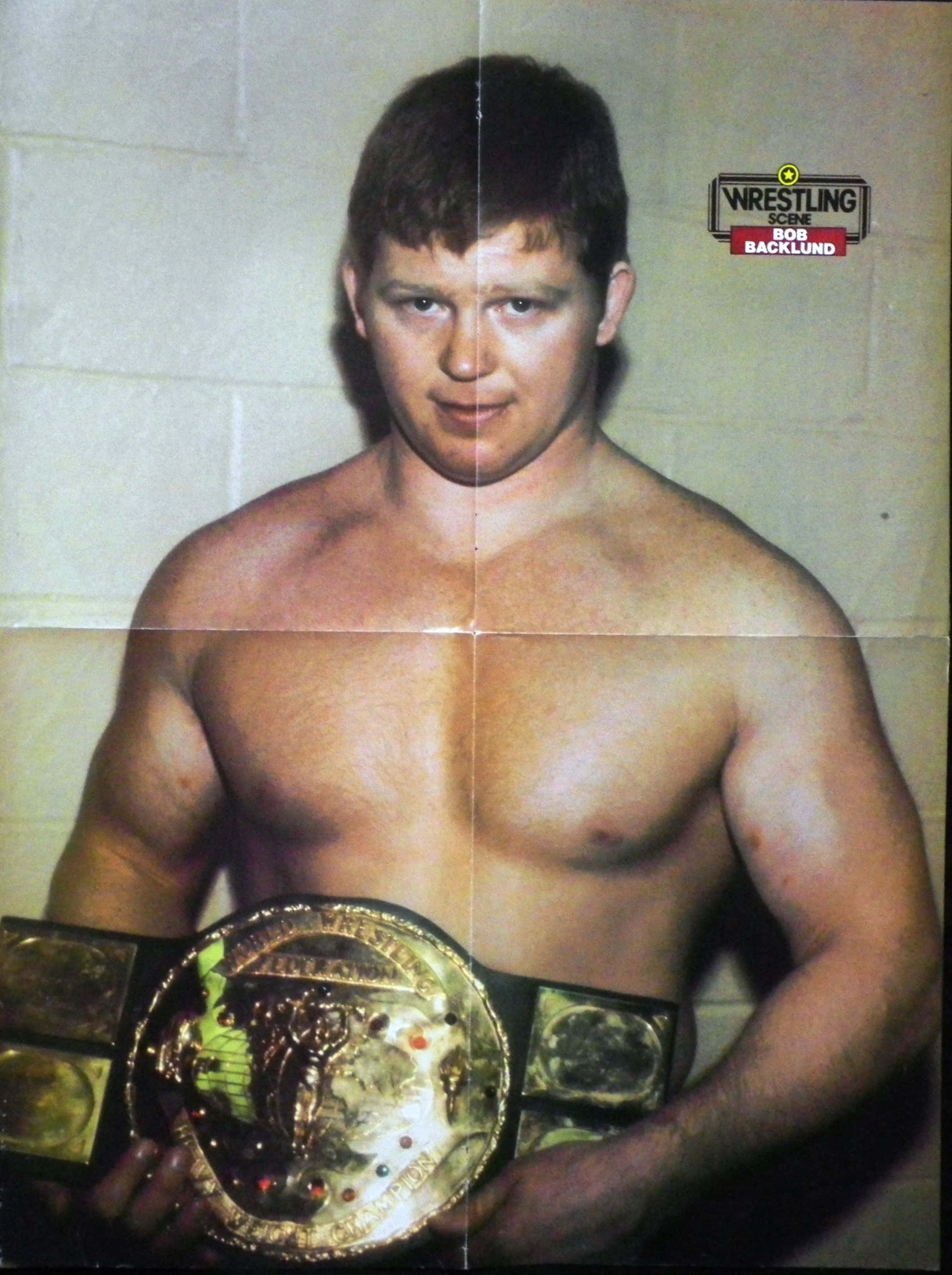 WWE 桌布 壁紙 — 一位肌肉發達的摔角手在帶有Wrestling Star標誌的普通煤渣磚牆前，高舉閃亮的冠軍腰帶。