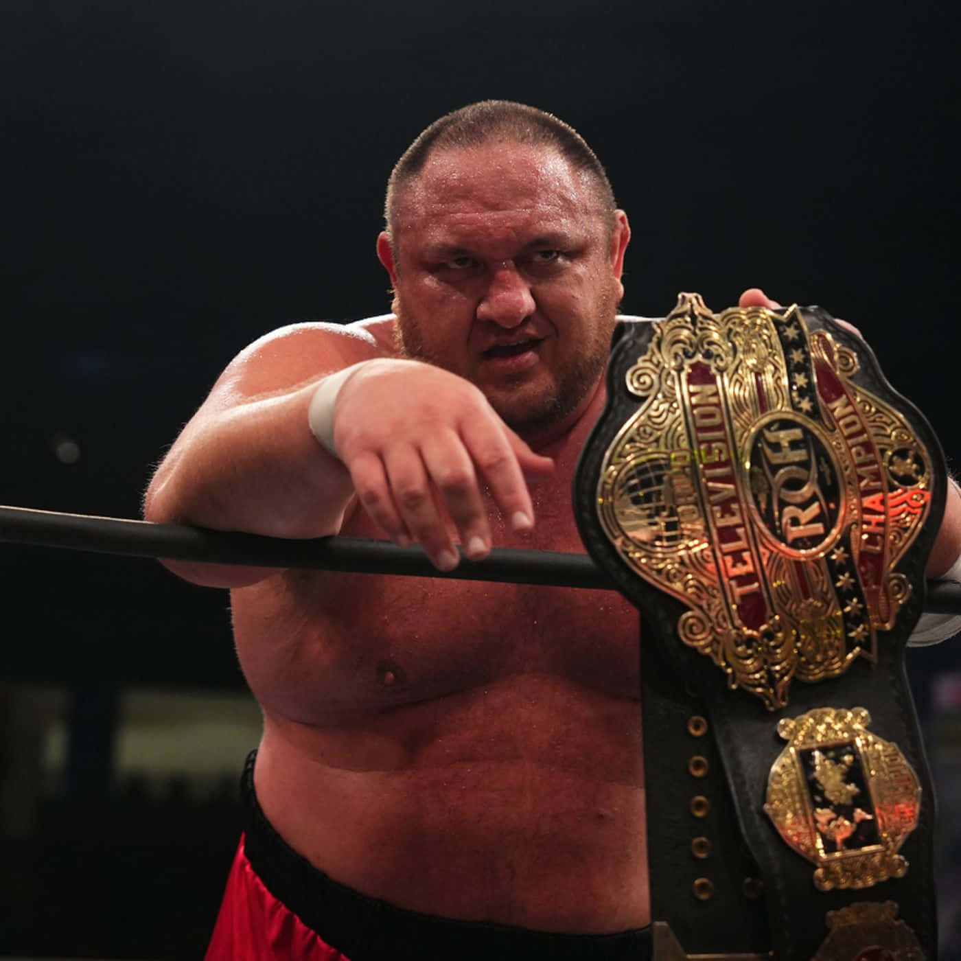 WWE 桌布 壁紙 — 一位肌肉發達的摔角手在擂台上靠在繩索上，專注地握著閃亮的ROH電視冠軍腰帶。