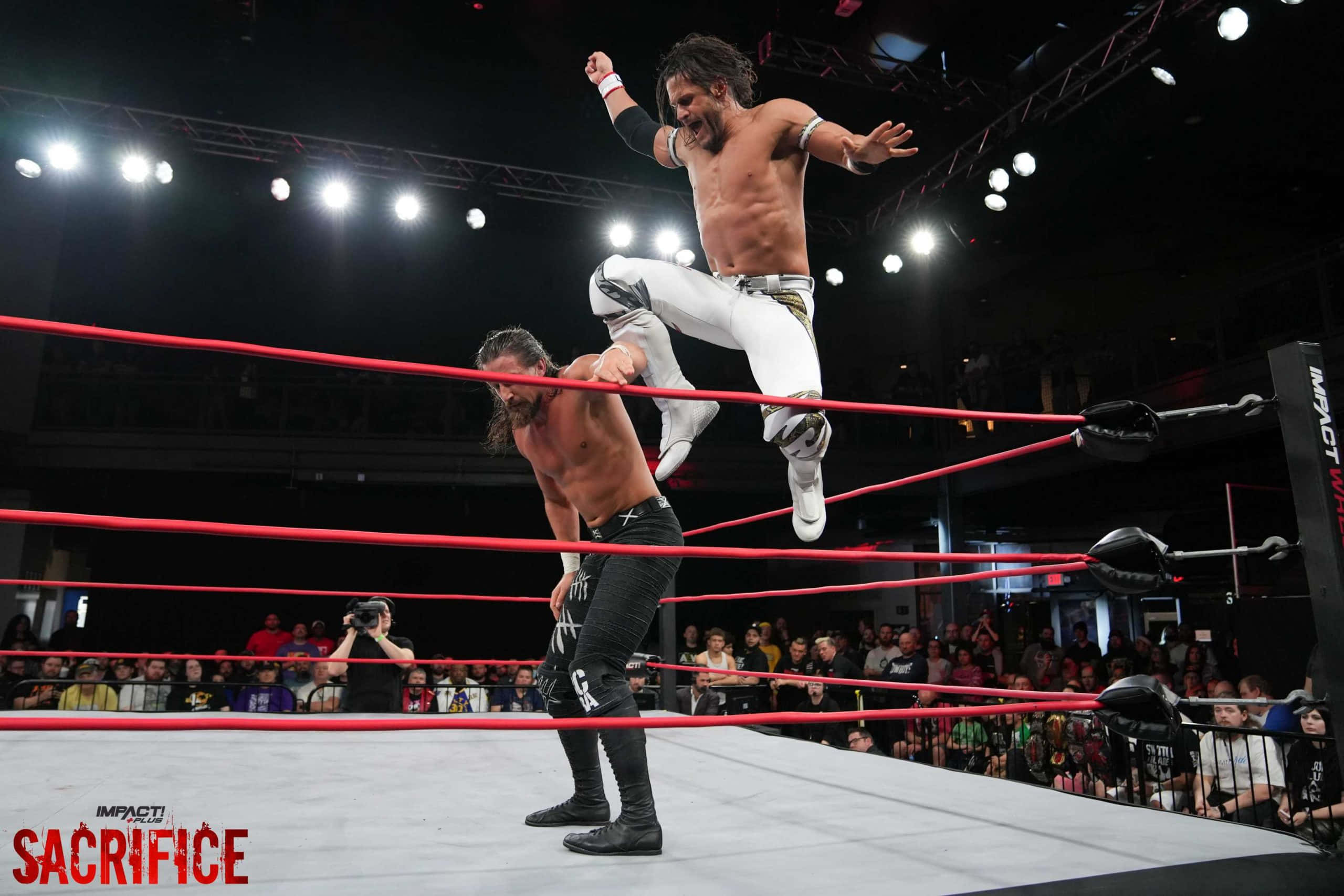 seth rollins 桌布 壁紙 — 一位肌肉發達的摔角手在燈光明亮的摔角擂台上，躍向對手，下方是熱情歡呼的粉絲。