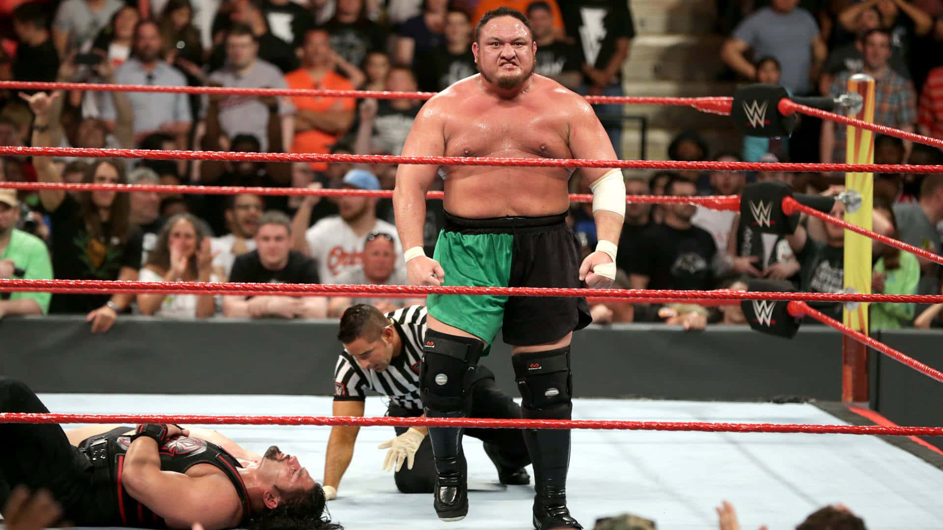 WWE 桌布 壁紙 — 一位肌肉發達的摔角手穿著綠色和黑色的短褲，在WWE擂台上勝利地站著，而他的對手則被打敗躺在地上，裁判正在檢查他。
