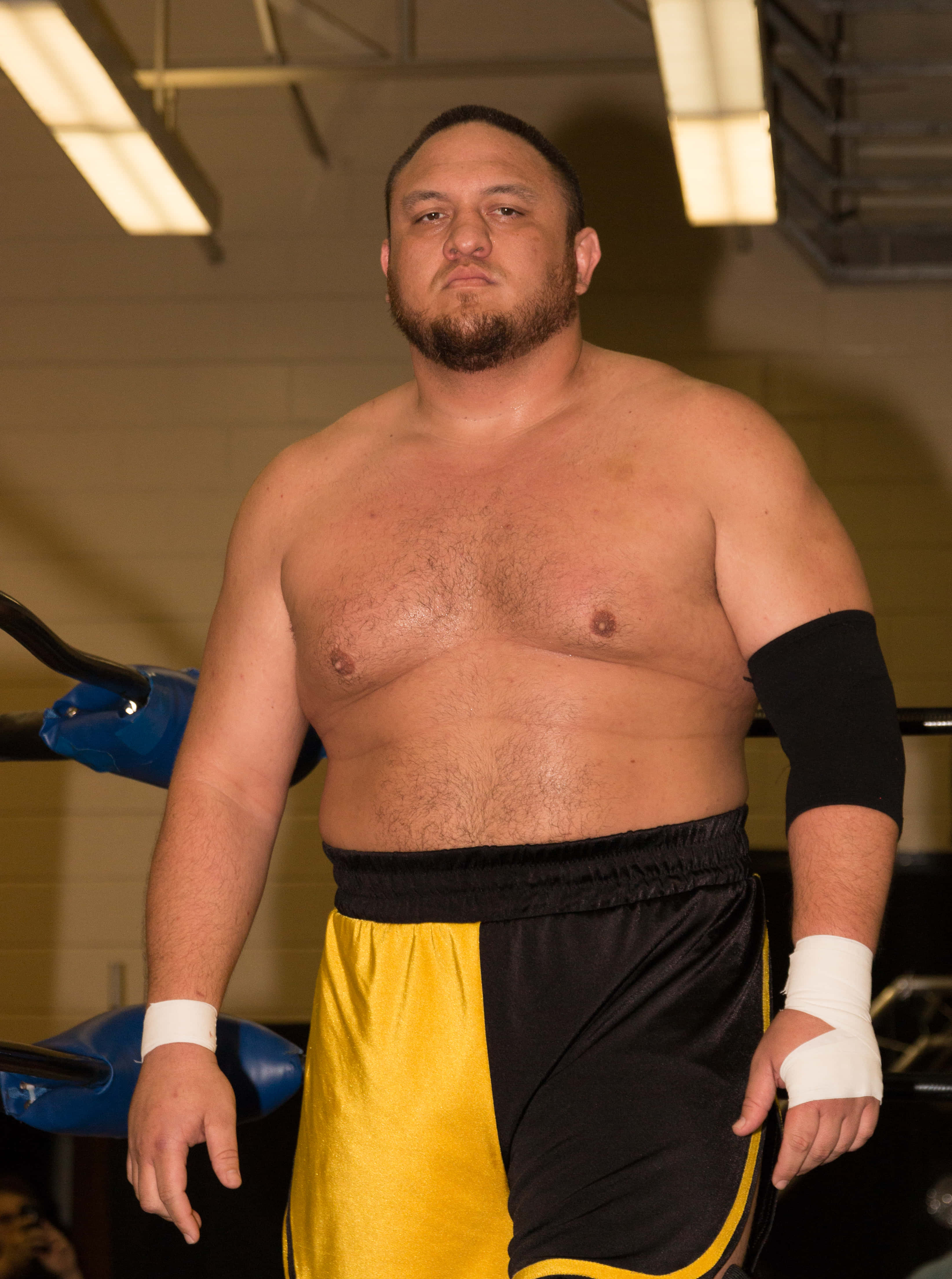 WWE 桌布 壁紙 — 一位肌肉發達的摔角手穿著黃黑相間的短褲，在明亮的頭頂燈光下自信地站在摔角擂台上。