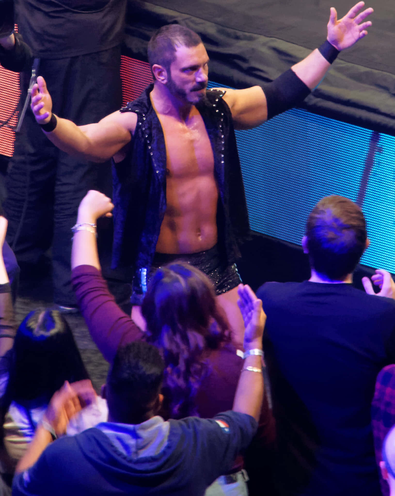 WWE 桌布 壁紙 — 一位肌肉發達的摔角手穿著黑色亮片背心，在藍色舞台燈光下高舉雙臂，粉絲們伸手觸碰他，場面勝利輝煌。