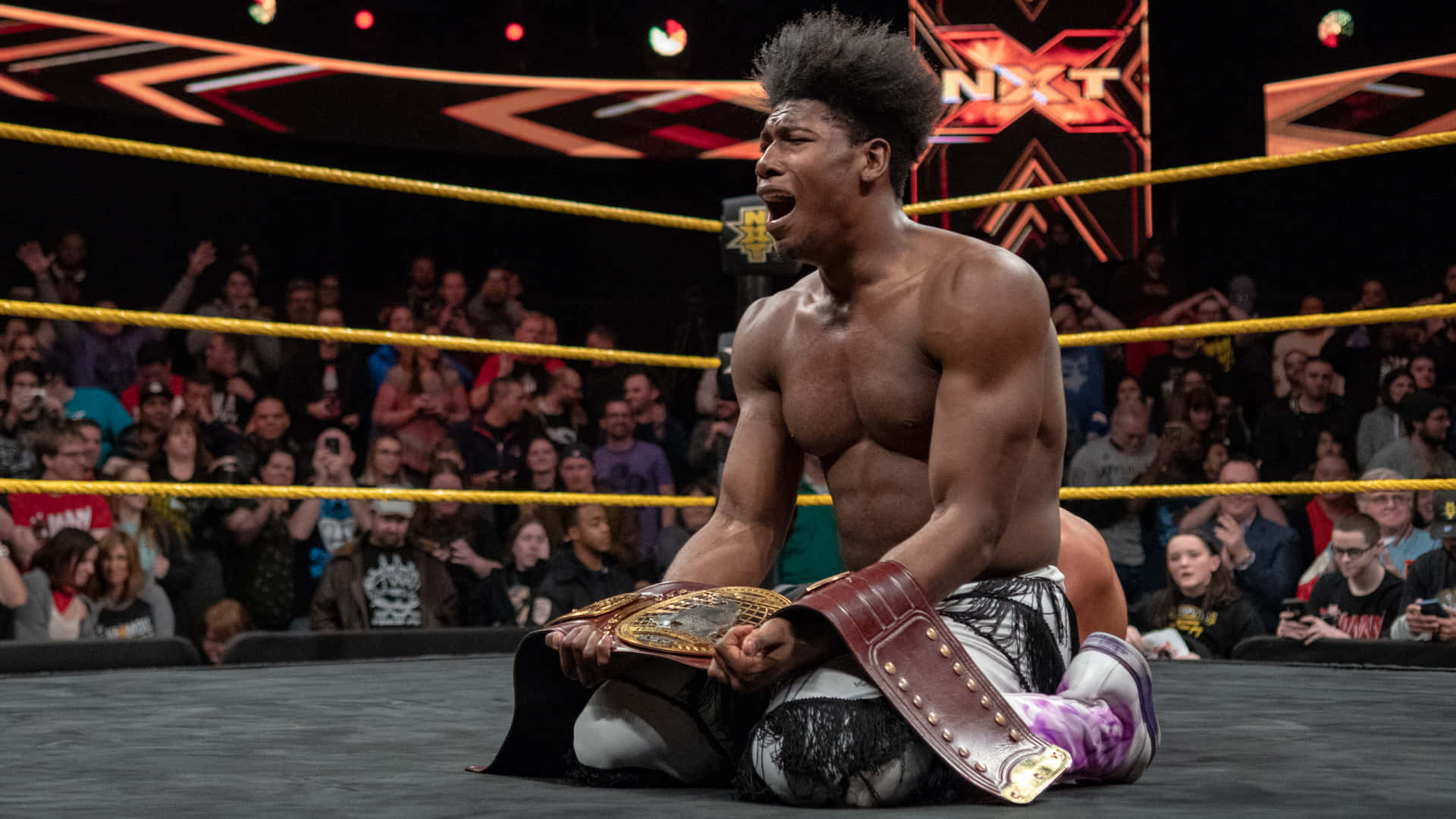 WWE 桌布 壁紙 — 一位肌肉發達的摔角手跪在擂台上，手持冠軍腰帶，身後群眾歡呼。