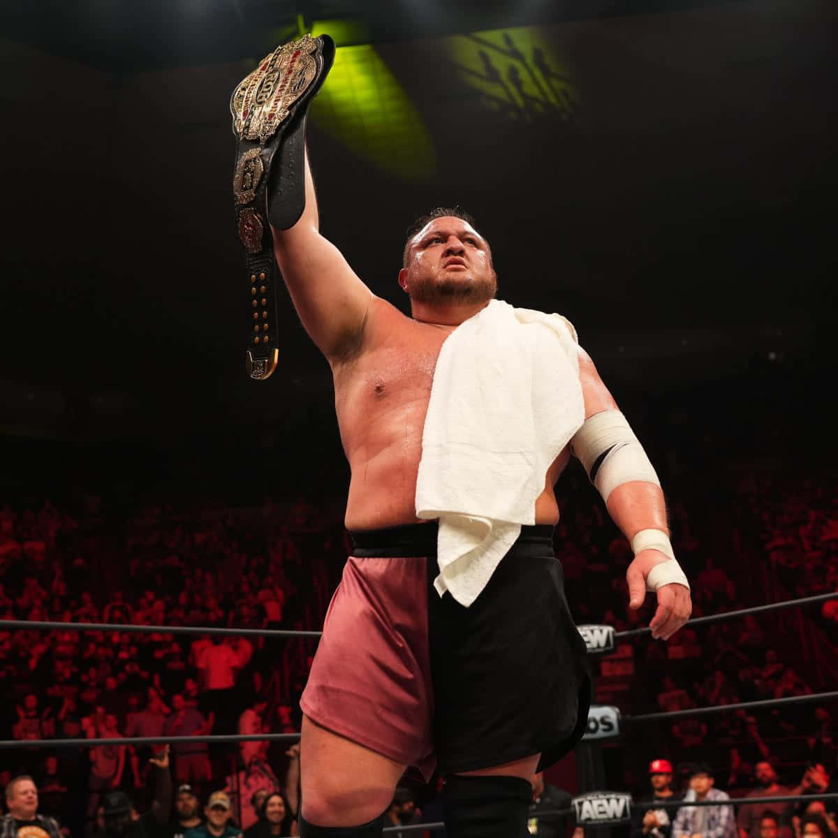 WWE 桌布 壁紙 — 一位肌肉發達的摔角選手在燈光明亮的擂台上，高舉冠軍腰帶於頭頂，台下觀眾歡聲雷動。