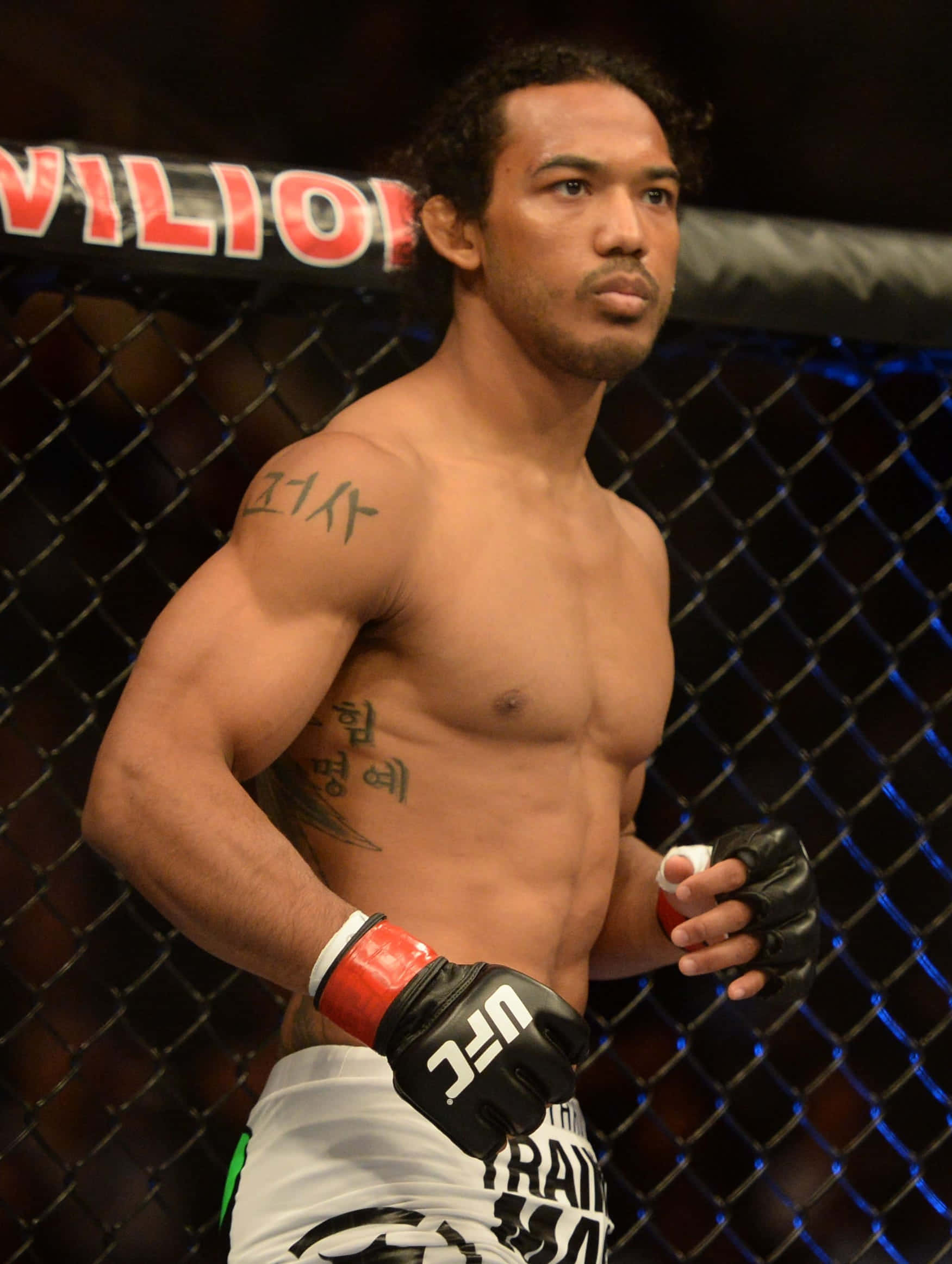 Fight 桌布 壁紙 — 一位肌肉發達的混合武術家站在UFC八角籠內，戴著手套和短褲，身上可見韓國刺青。