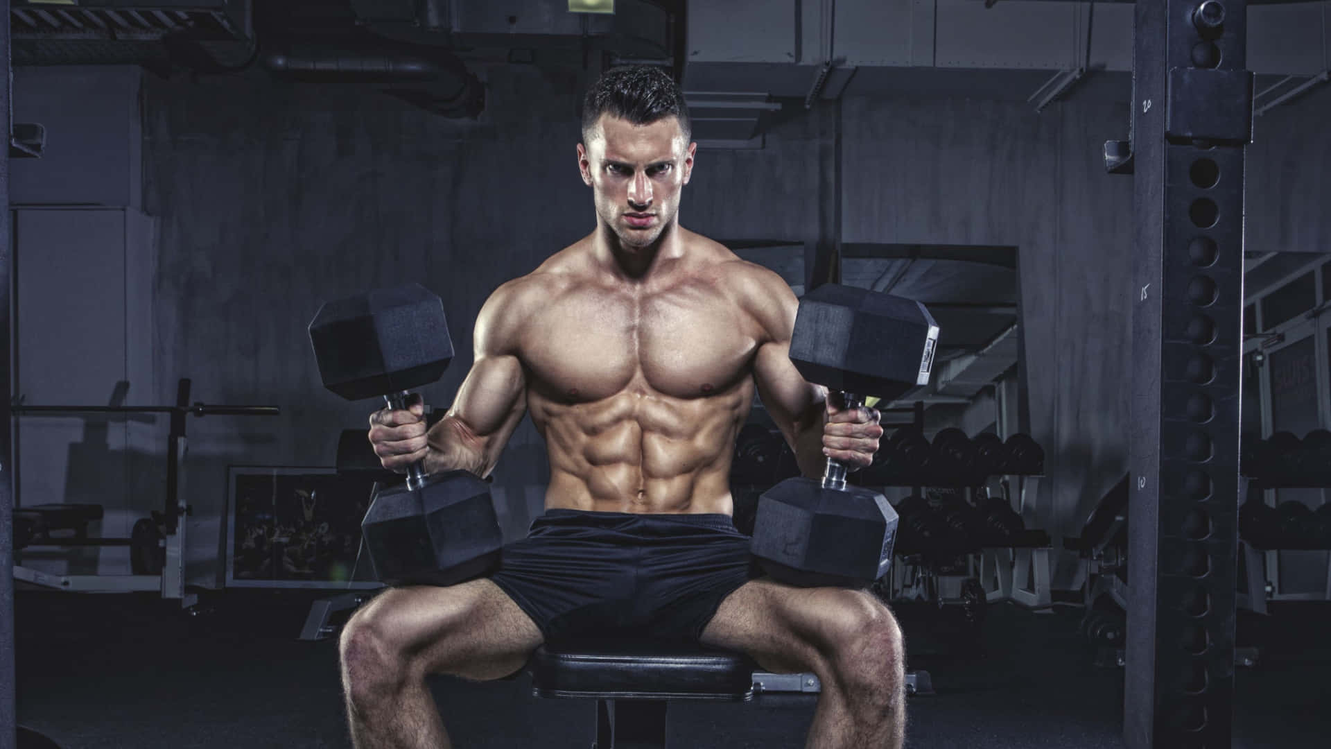 bodybuilding 桌布 壁紙 — 一位肌肉線條分明、腹肌明顯的男子坐在昏暗健身房的長椅上，專注地握著兩個黑色啞鈴。