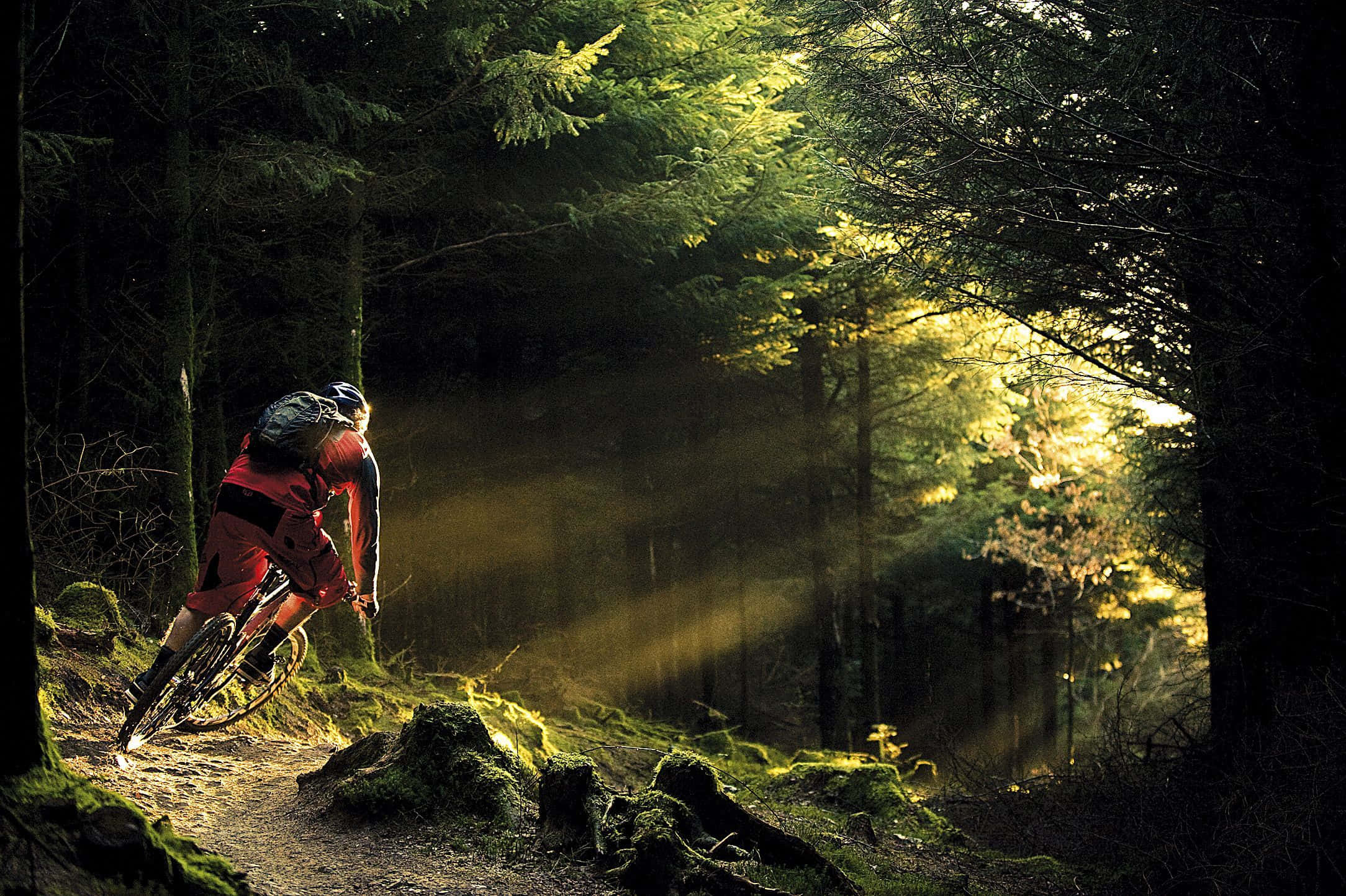 Mountain Bike 桌布 壁紙 — 一位自行車騎士踩著腳踏車穿過長滿苔蘚的森林，金色的陽光穿過樹木照射下來。
