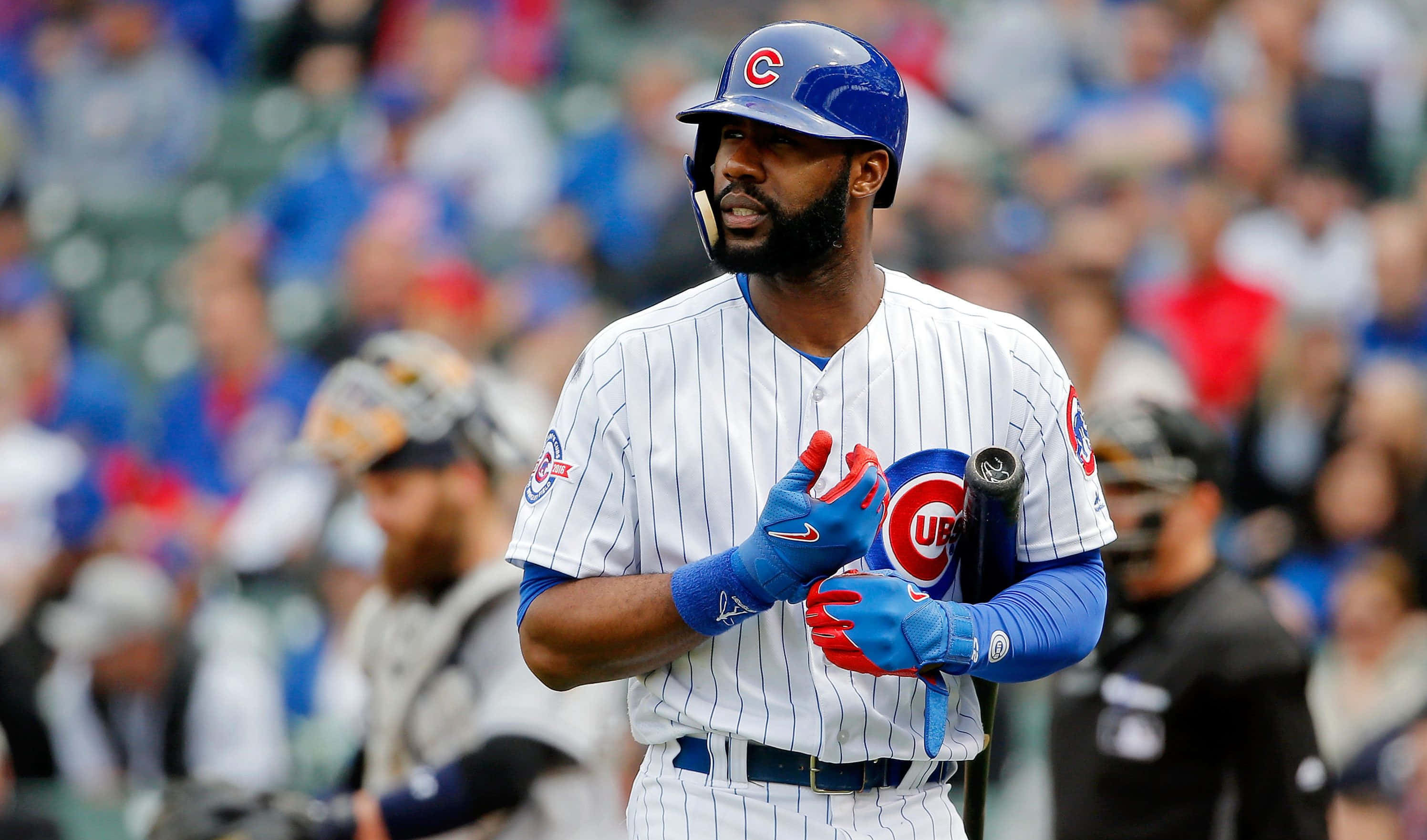 MLB Players 桌布 壁紙 — 一位芝加哥小熊隊棒球運動員穿著細條紋制服，手持球棒和手套，在陽光明媚的球場上行走，背景是模糊的球迷。