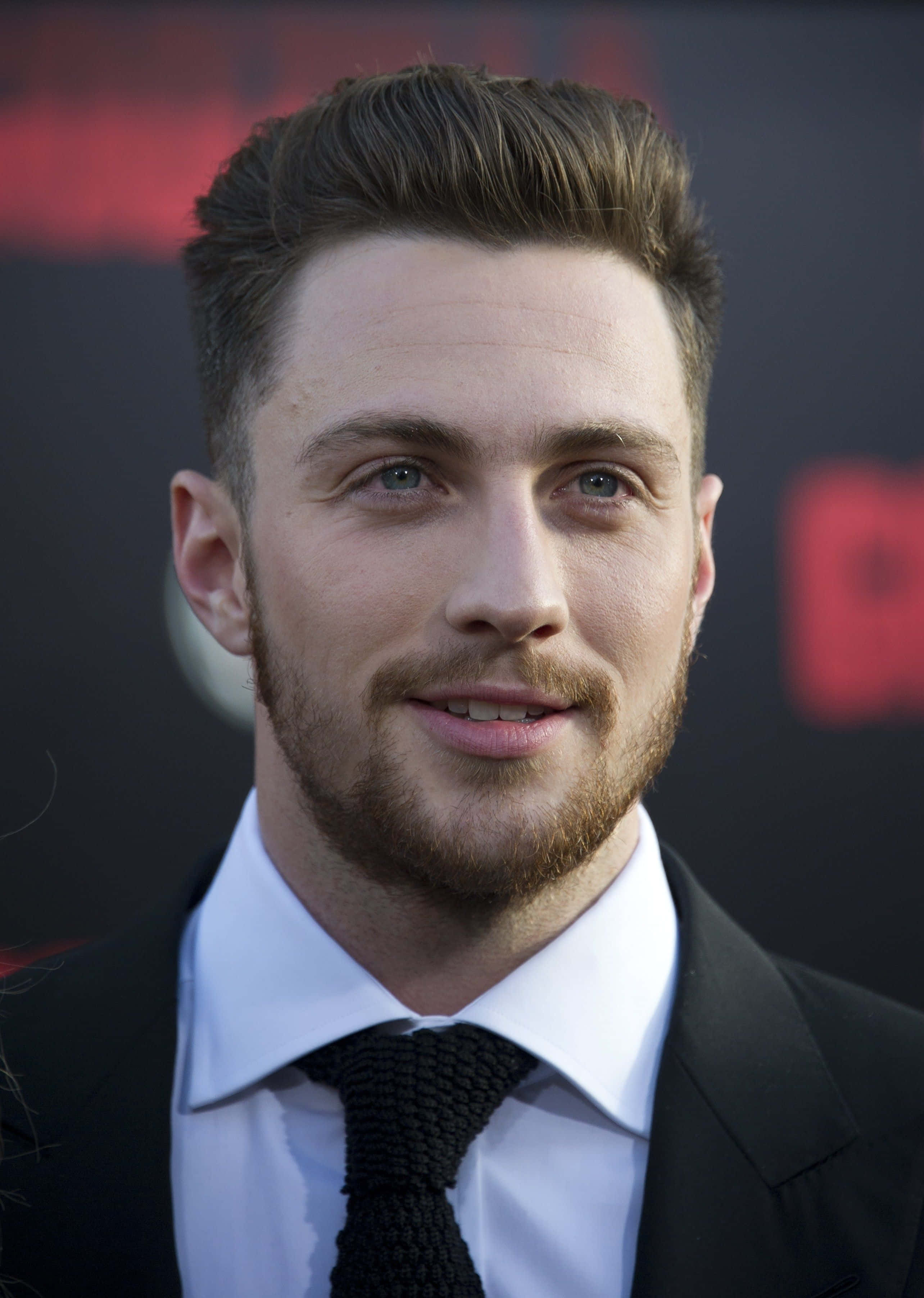 Celebrity 桌布 壁紙 — 一位英俊男士的頭像特寫，頭髮和鬍鬚經過造型，身穿黑色西裝和質感領帶，背景為深紅色。