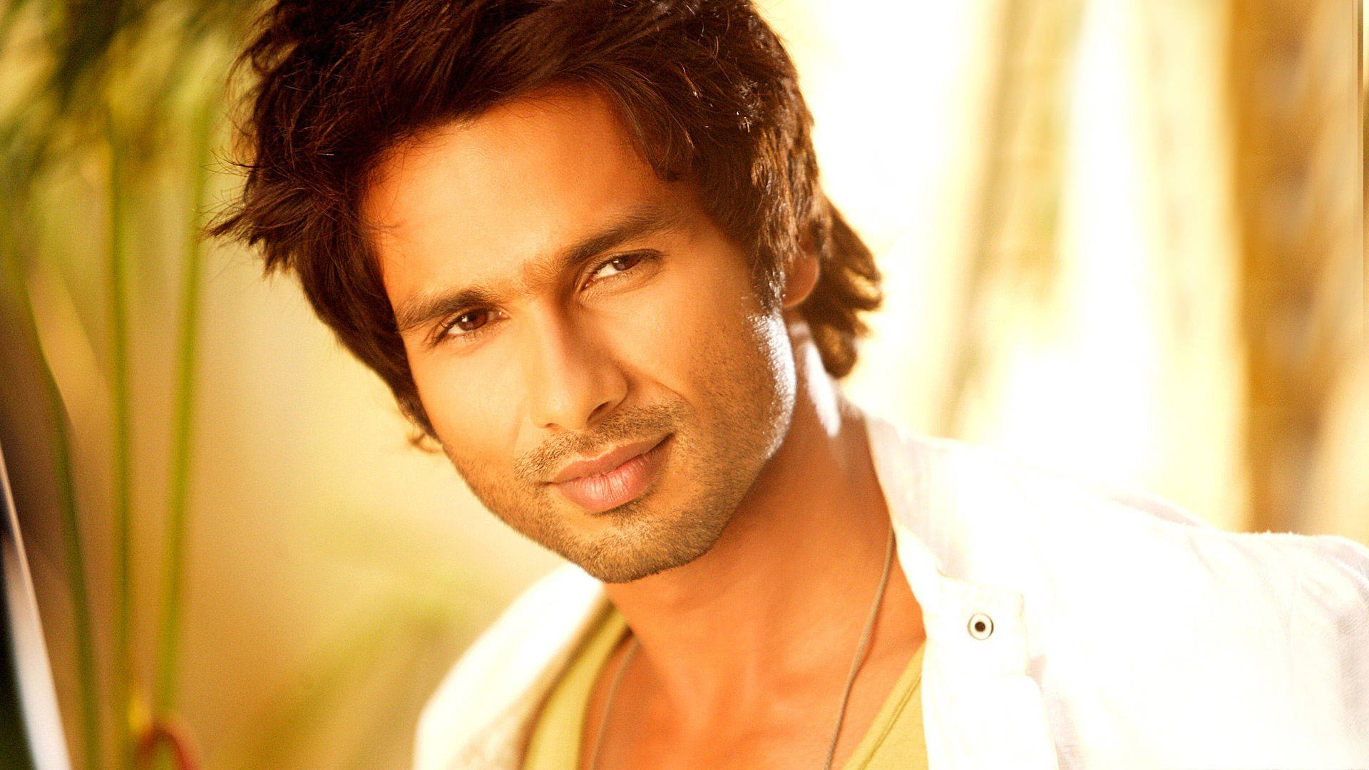 Shahid Kapoor 桌布 壁紙 — 一位英俊的黑髮男子帶著溫暖的笑容，穿著白襯衫，背景是柔和的金色和模糊的綠色植物。