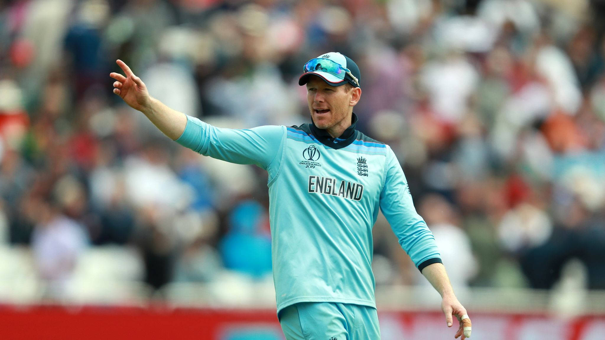 eoin morgan 桌布 壁紙 — 一位英格蘭板球隊隊長在日間比賽中，背景是模糊的人群，他正在用力地做手勢。