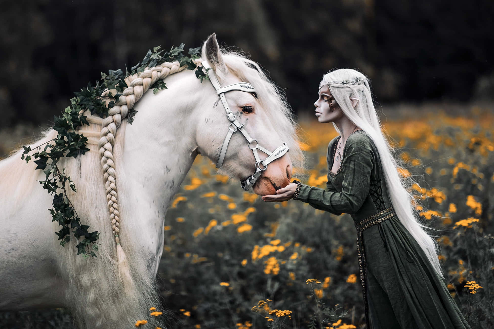 Gaming Cosplay 桌布 壁紙 — 一位蒼白的精靈，長長的白髮，在金色花田裡輕輕觸摸一匹雄偉的白馬的鼻口，馬的鬃毛編織成辮子，並裝飾著常春藤。