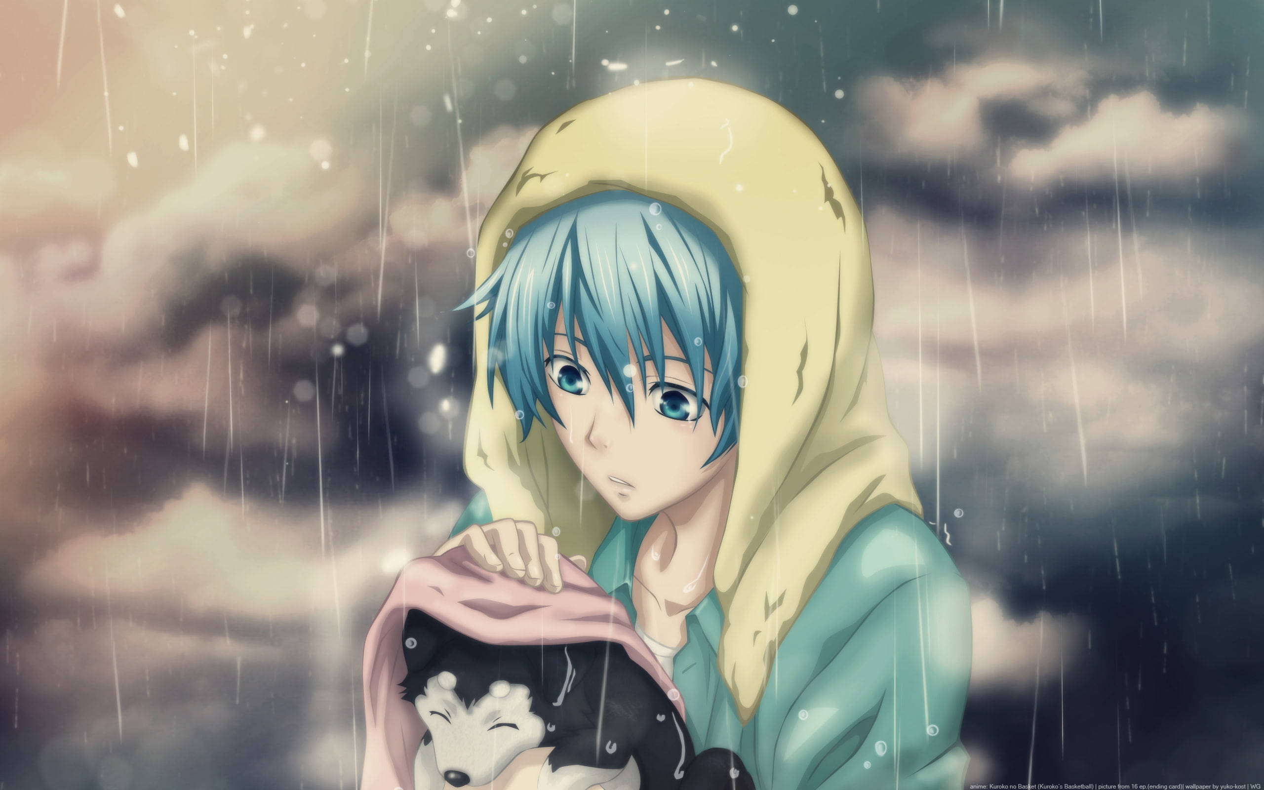 Kuroko No Basket 桌布 壁紙 — 一位藍髮動漫女孩穿著黃色連帽雨衣，用粉紅色毯子保護著一隻睡著的哈士奇幼犬，雨水在陰雲密佈的天空中落下。